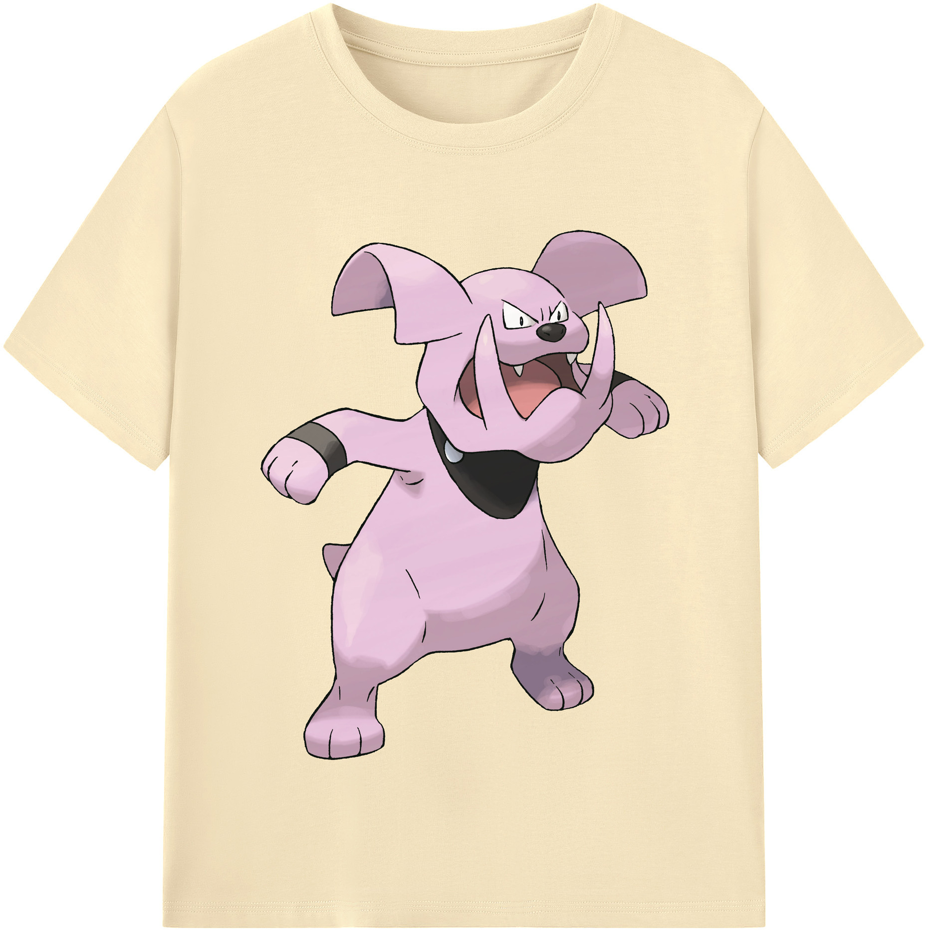 （画像用） ポケットモンスター Pokémon 綿100％半袖Tシャツ（フロントプリント）