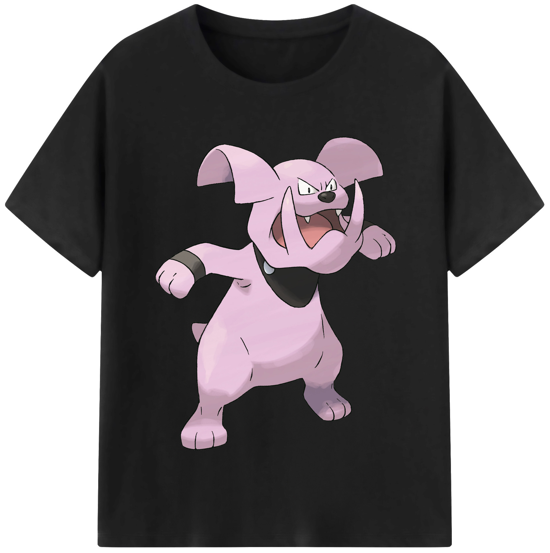 （画像用） ポケットモンスター Pokémon 綿100％半袖Tシャツ（フロントプリント）