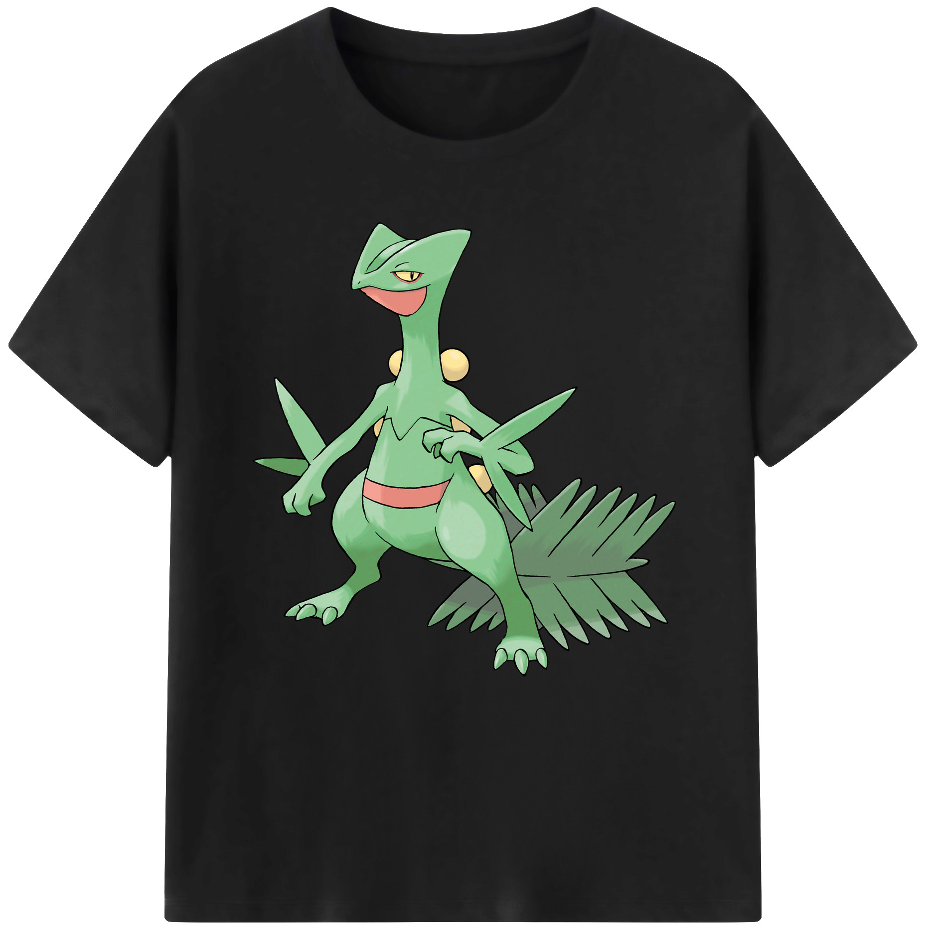 （画像用） ポケットモンスター Pokémon 綿100％半袖Tシャツ（フロントプリント）