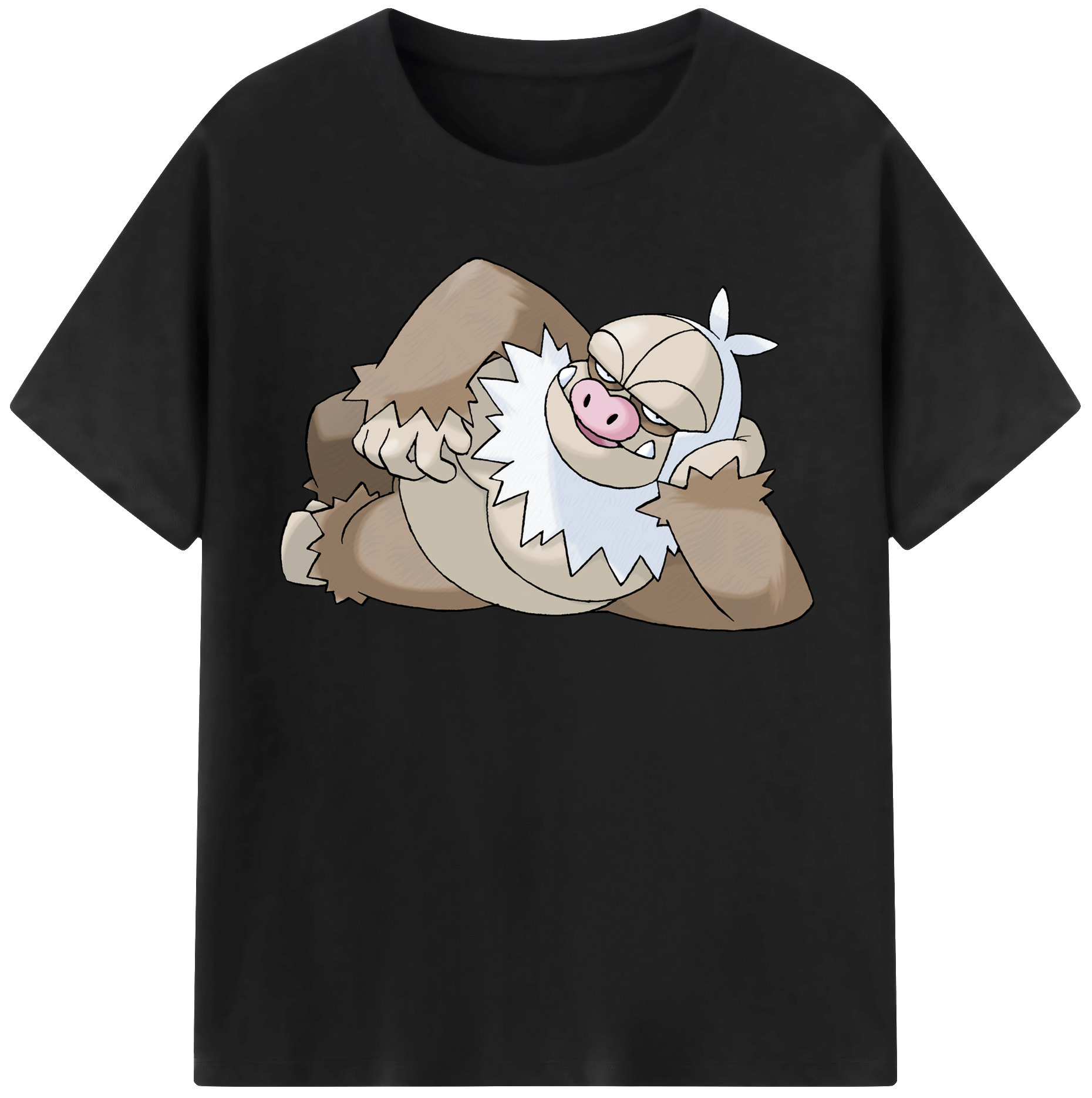 （画像用） ポケットモンスター Pokémon 綿100％半袖Tシャツ（フロントプリント）