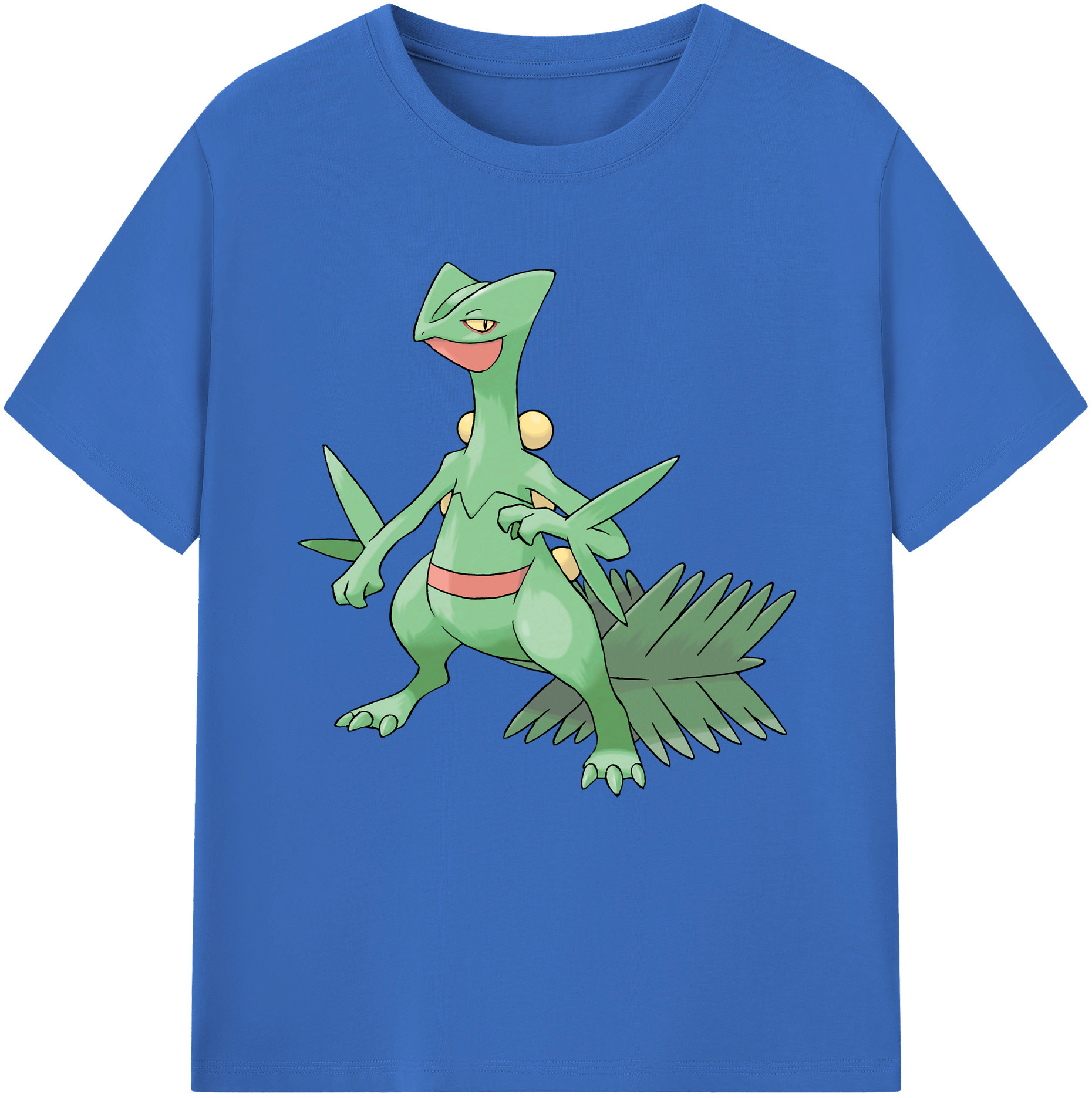 （画像用） ポケットモンスター Pokémon 綿100％半袖Tシャツ（フロントプリント）