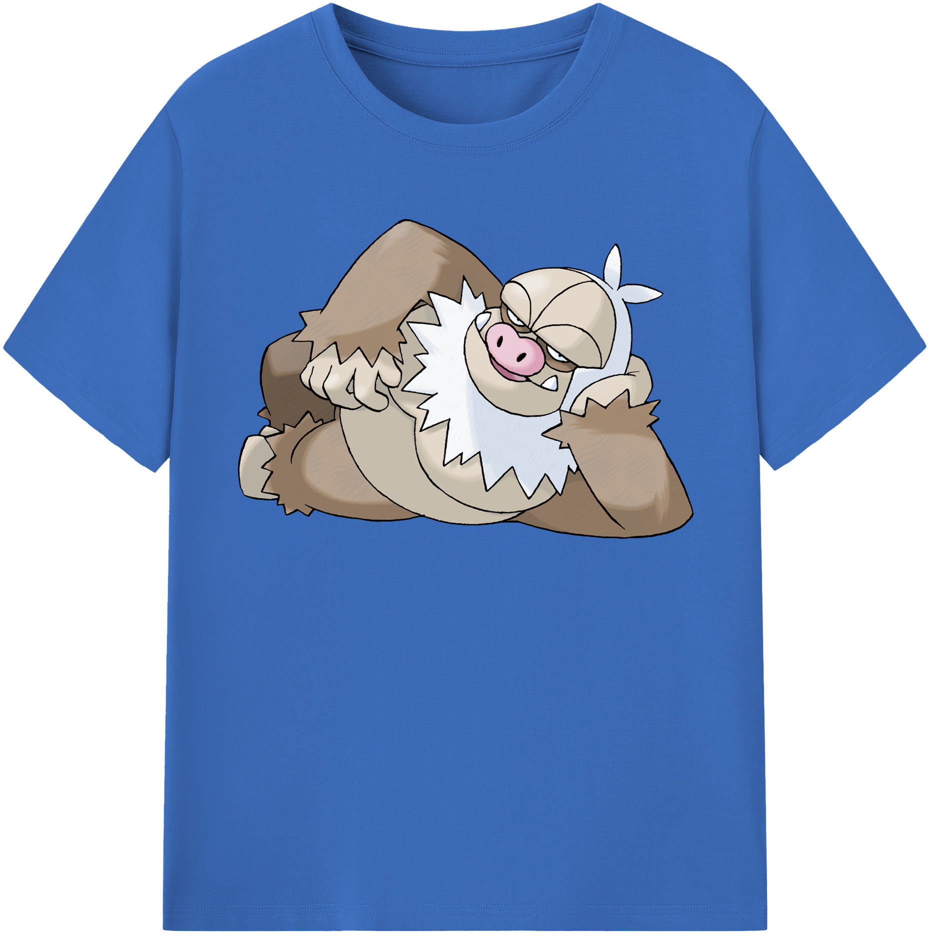 （画像用） ポケットモンスター Pokémon 綿100％半袖Tシャツ（フロントプリント）