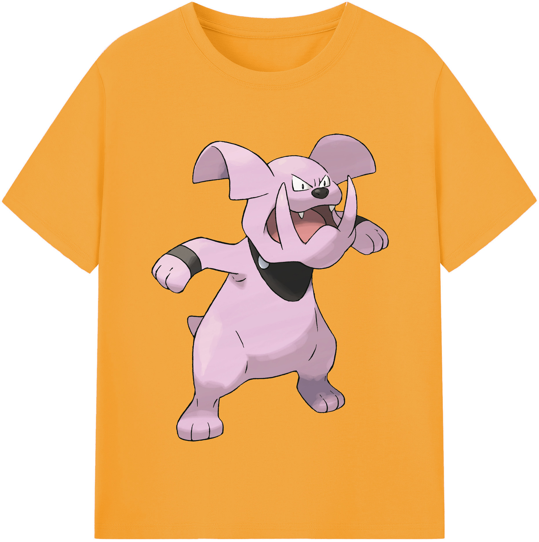（画像用） ポケットモンスター Pokémon 綿100％半袖Tシャツ（フロントプリント）