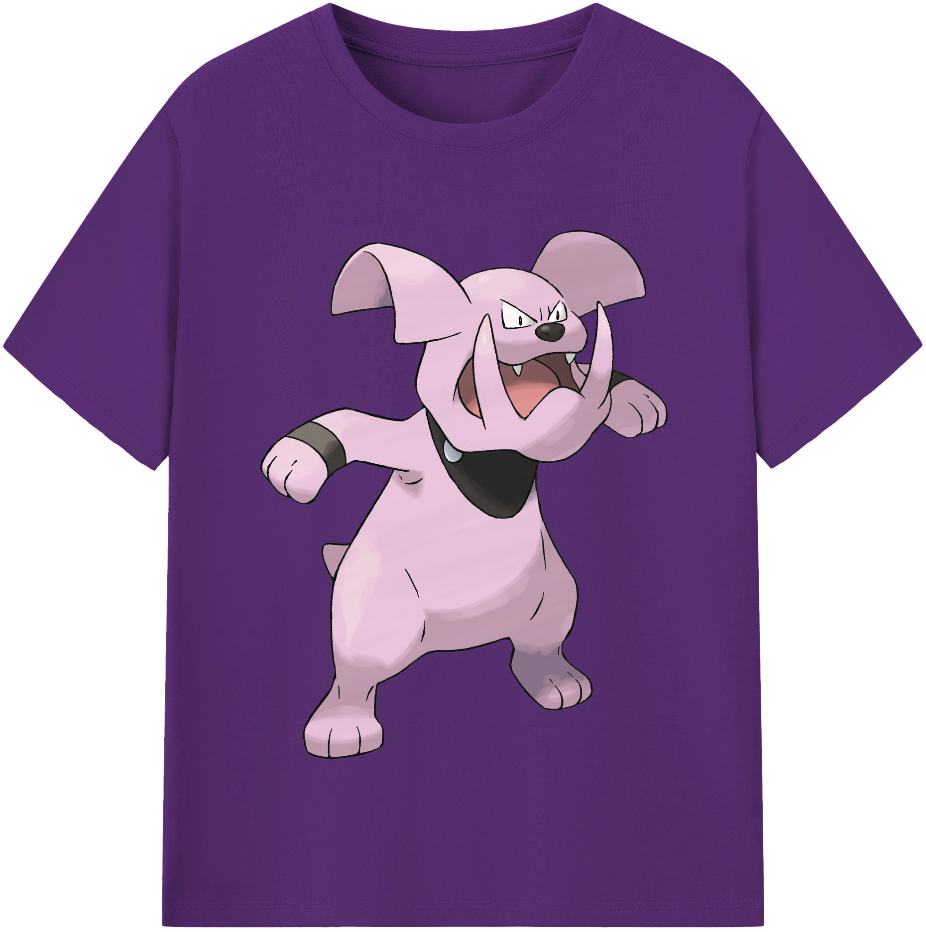 （画像用） ポケットモンスター Pokémon 綿100％半袖Tシャツ（フロントプリント）