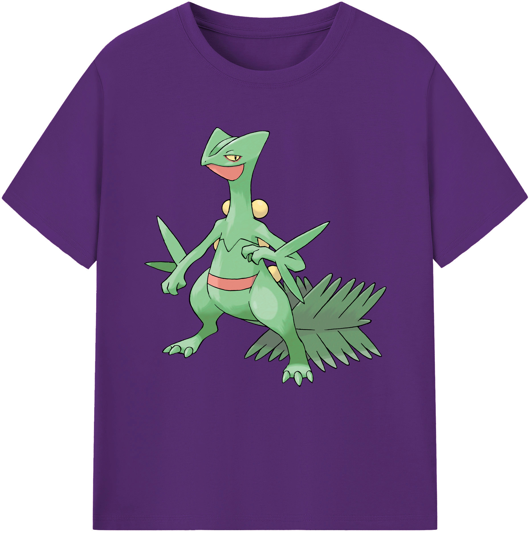 （画像用） ポケットモンスター Pokémon 綿100％半袖Tシャツ（フロントプリント）