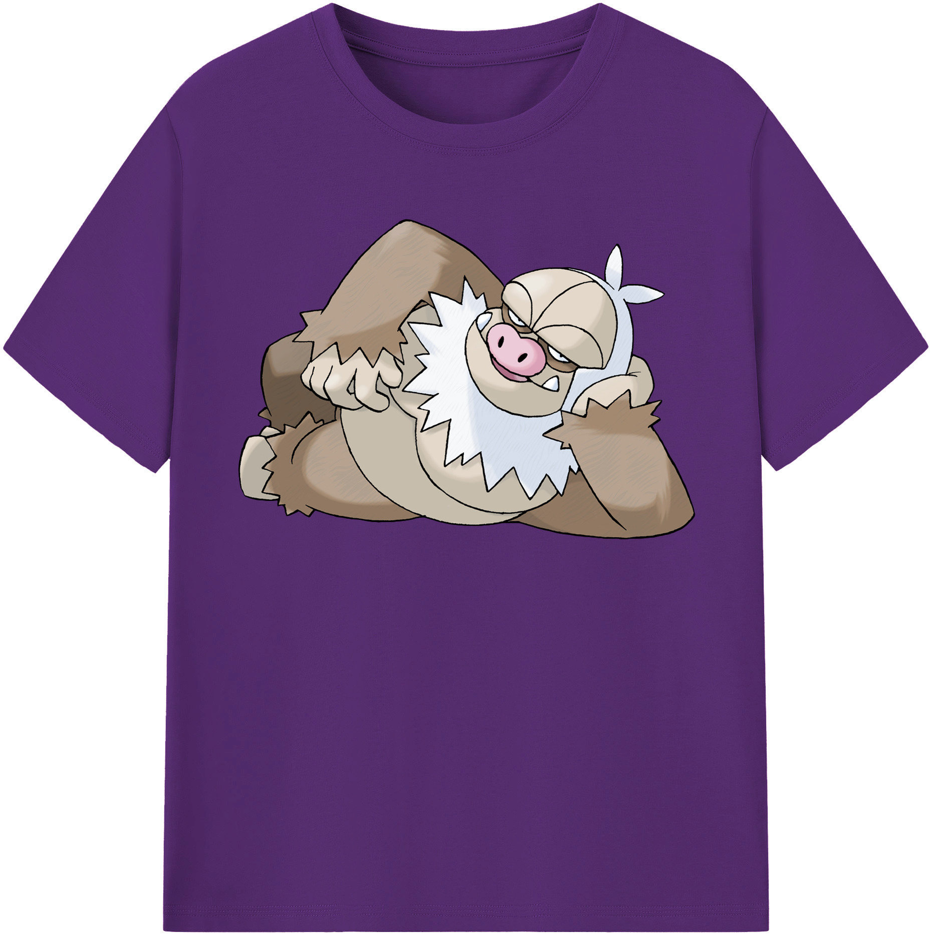（画像用） ポケットモンスター Pokémon 綿100％半袖Tシャツ（フロントプリント）