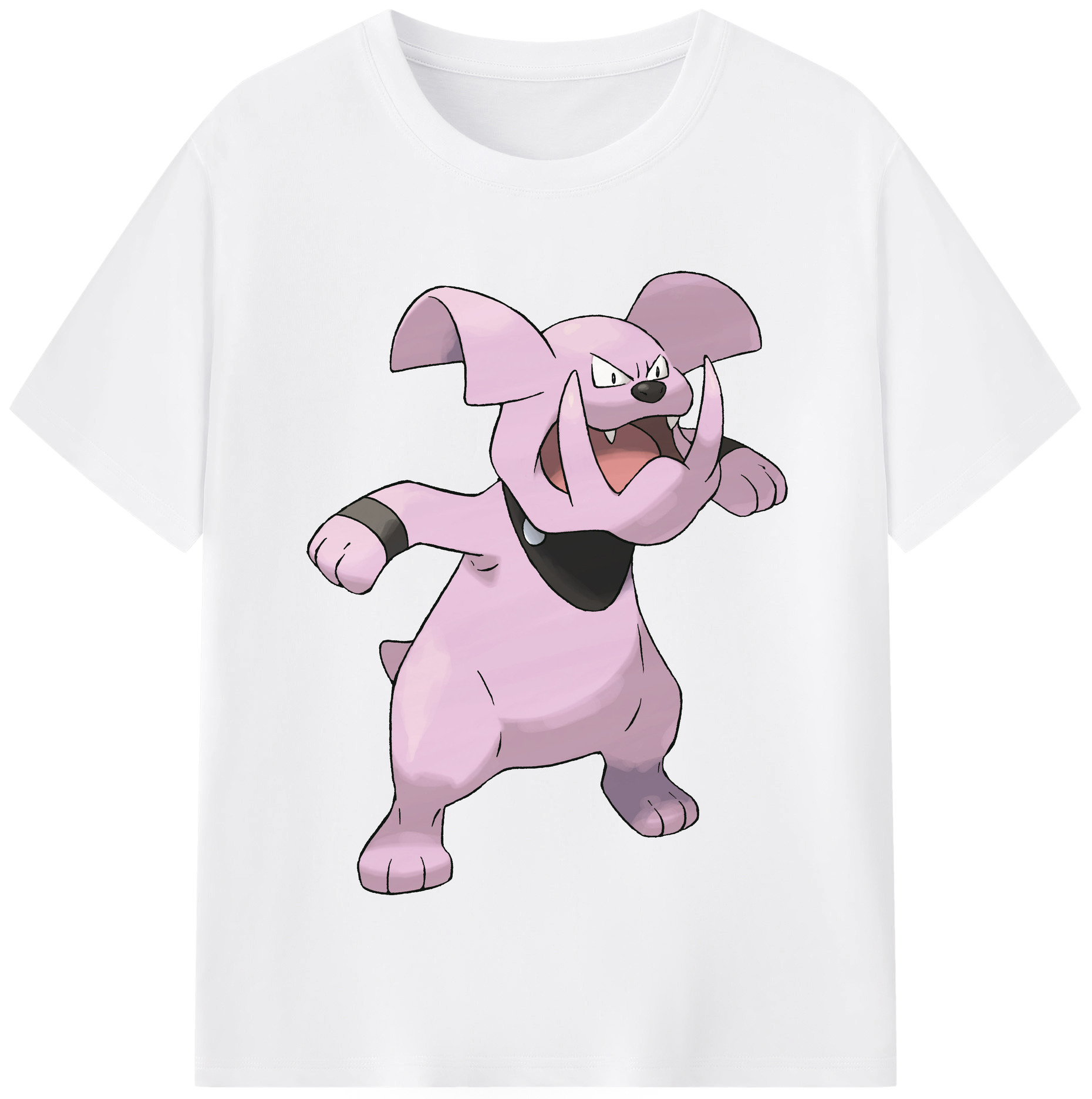 （画像用） ポケットモンスター Pokémon 綿100％半袖Tシャツ（フロントプリント）