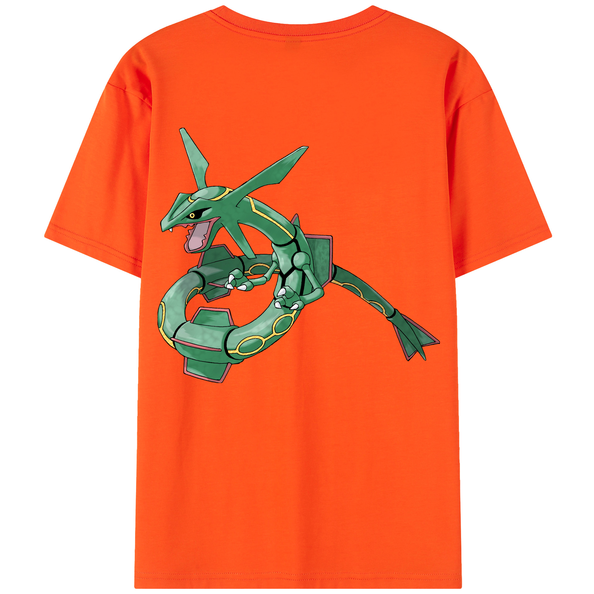 （画像用） ポケットモンスター Pokémon 綿100％半袖Tシャツ（背面プリント）