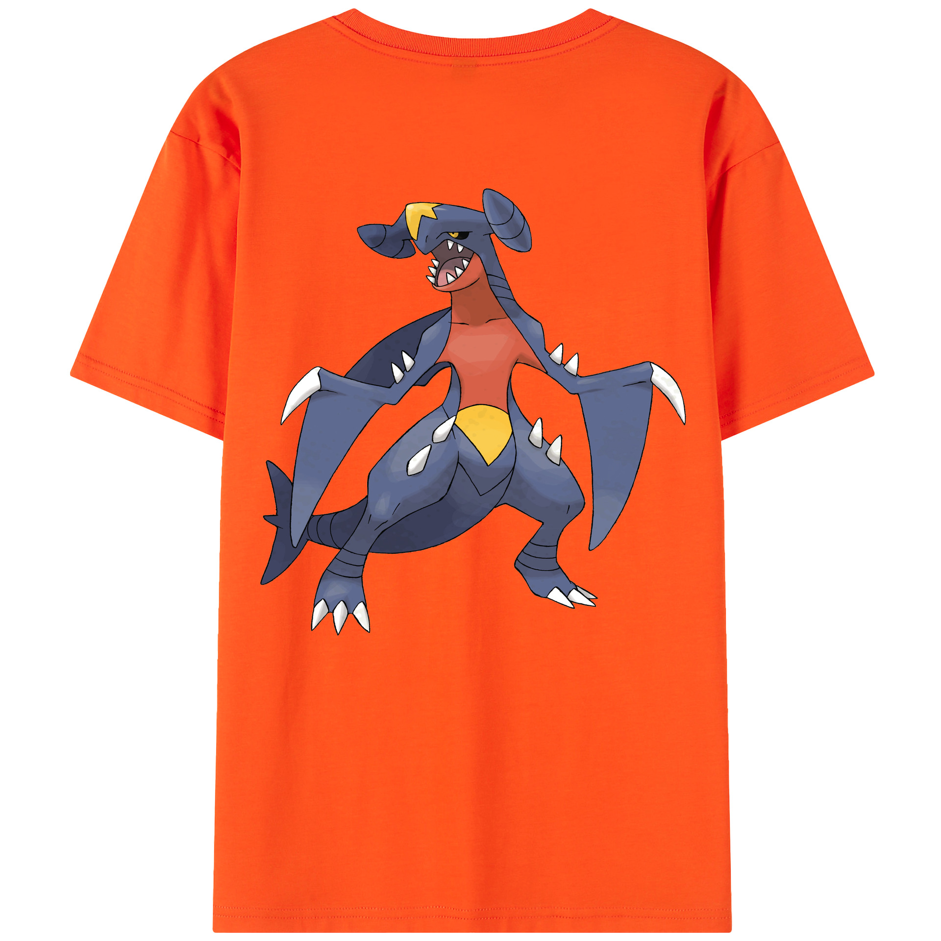 （画像用） ポケットモンスター Pokémon 綿100％半袖Tシャツ（背面プリント）