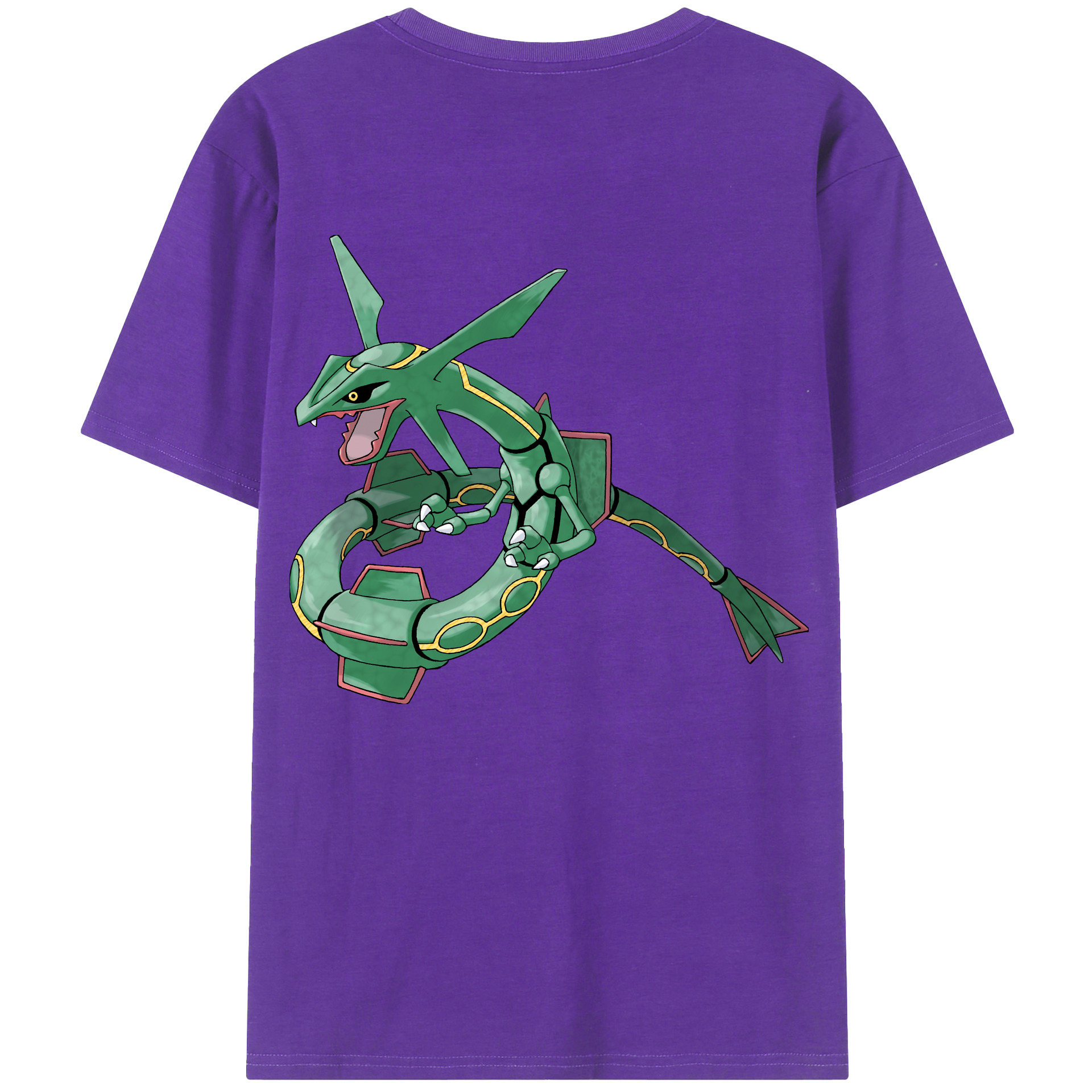 （画像用） ポケットモンスター Pokémon 綿100％半袖Tシャツ（背面プリント）