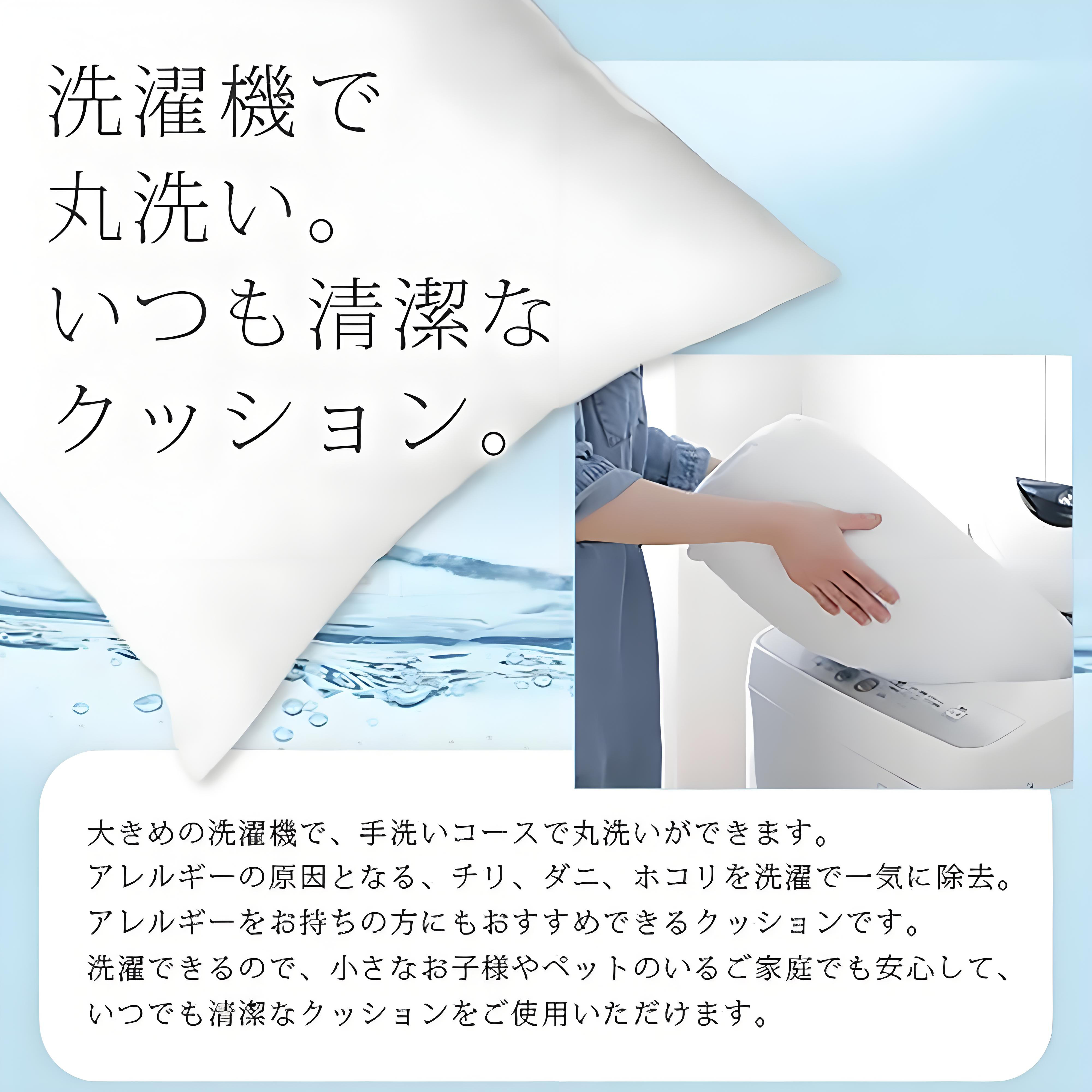 ポケットモンスター Pokémon クッションカバー＆本体セット（ポリエステル素材）