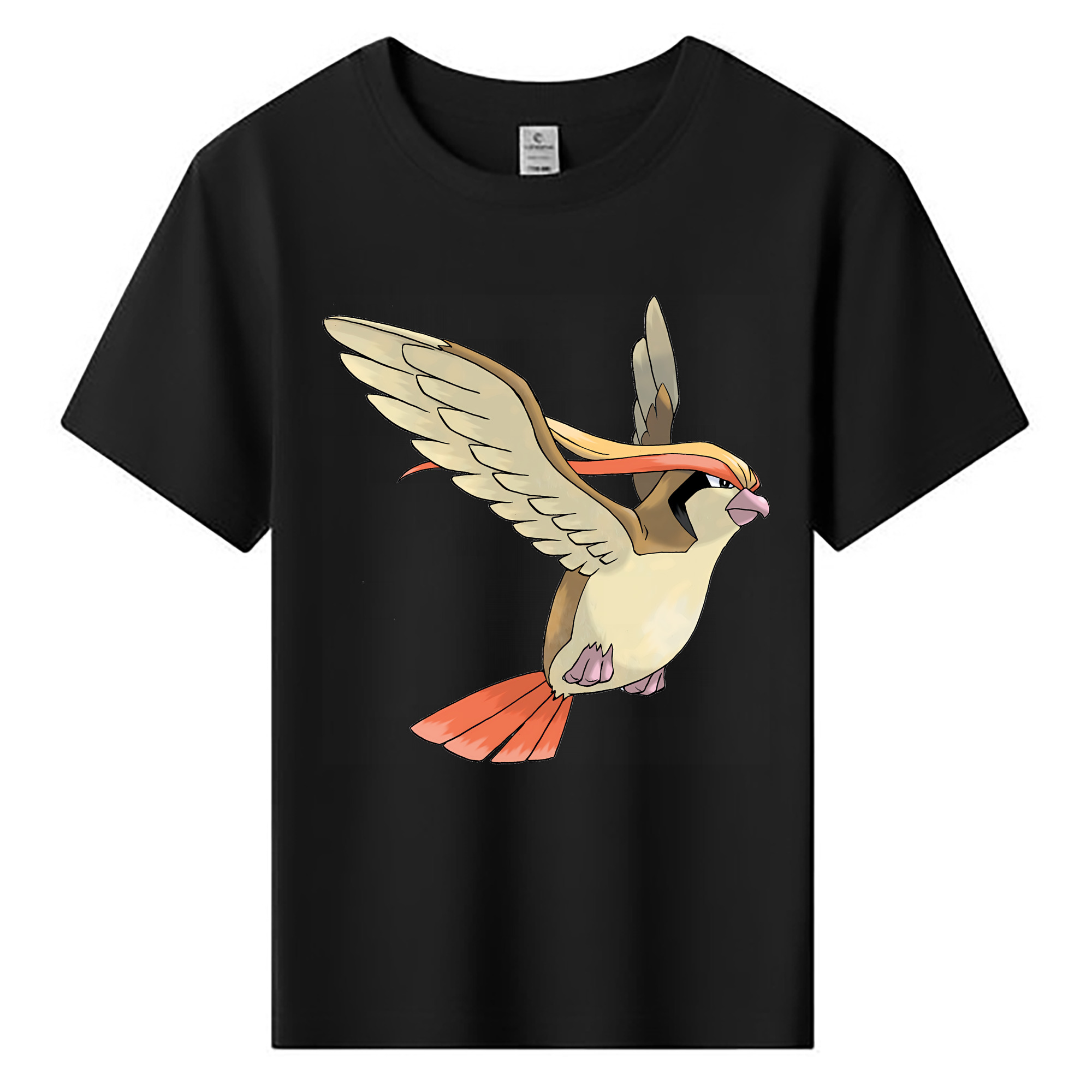 （画像用） ポケットモンスター Pokémon 綿100％キッズTシャツ（フロントプリント）