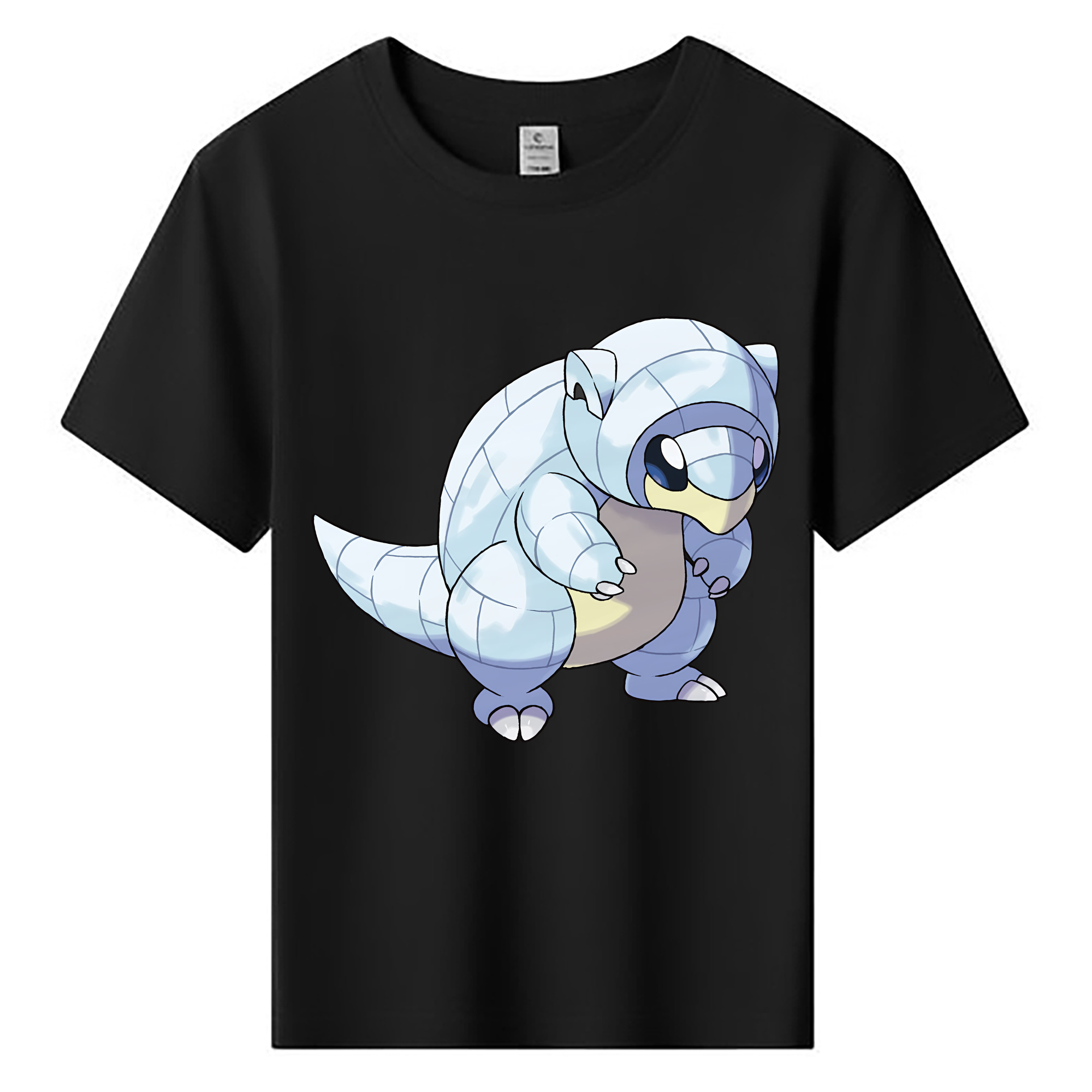 （画像用） ポケットモンスター Pokémon 綿100％キッズTシャツ（フロントプリント）