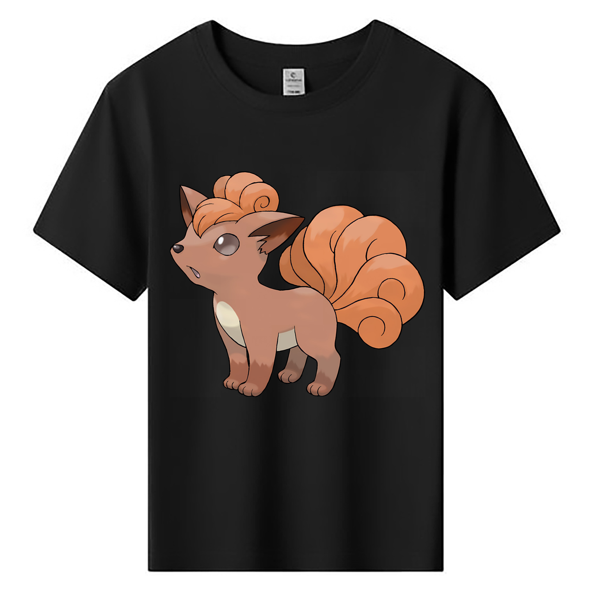 （画像用） ポケットモンスター Pokémon 綿100％キッズTシャツ（フロントプリント）
