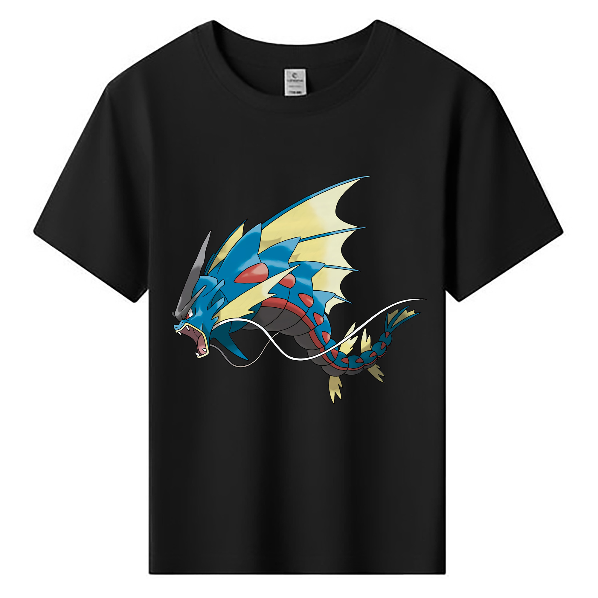 （画像用） ポケットモンスター Pokémon 綿100％キッズTシャツ（フロントプリント）