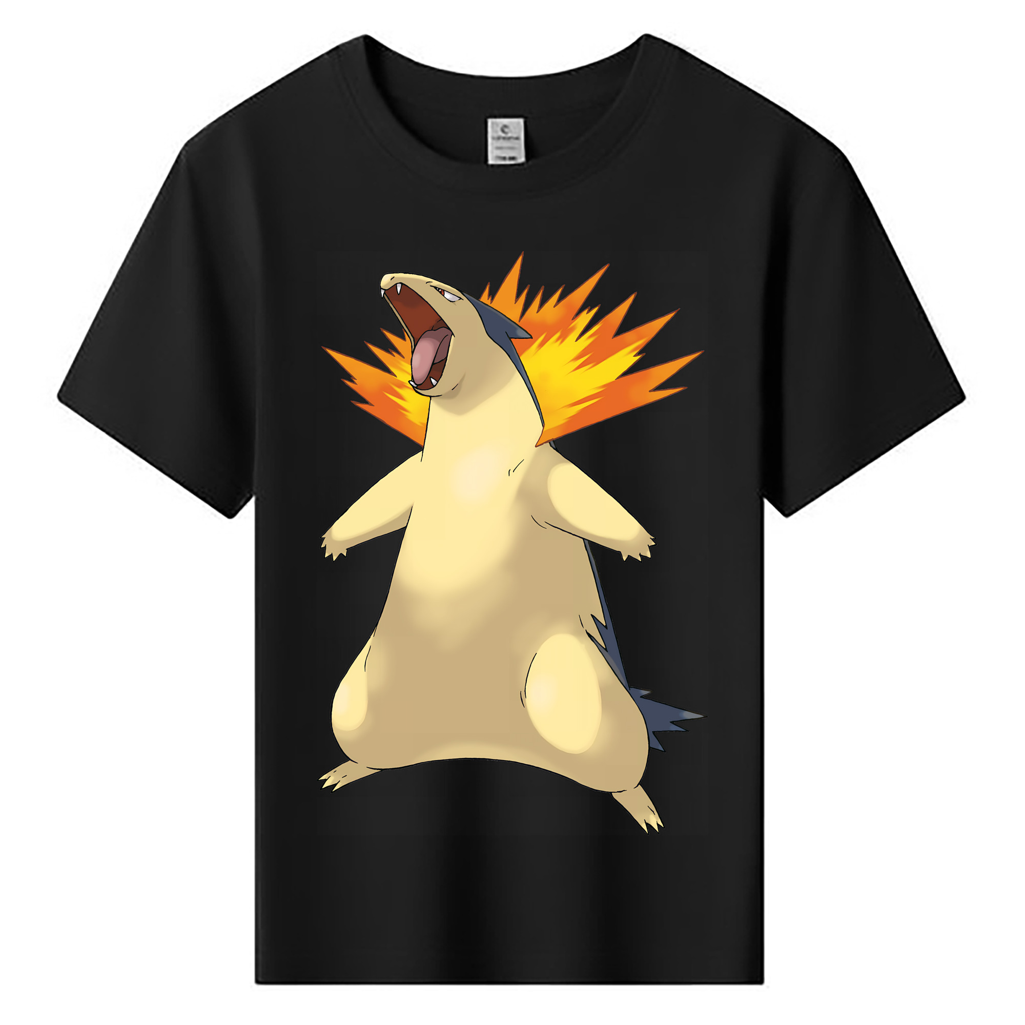 （画像用） ポケットモンスター Pokémon 綿100％キッズTシャツ（フロントプリント）