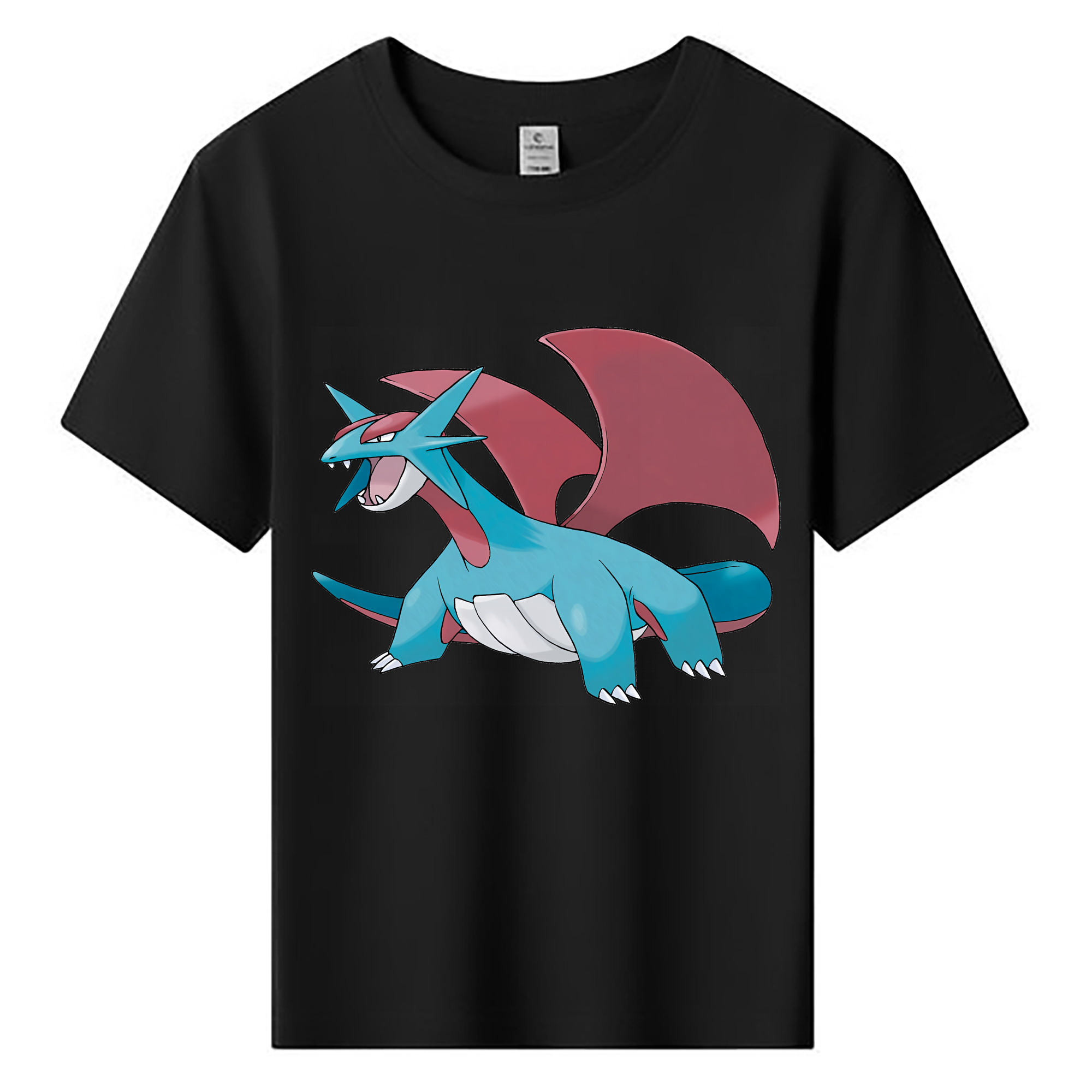 （画像用） ポケットモンスター Pokémon 綿100％キッズTシャツ（フロントプリント）