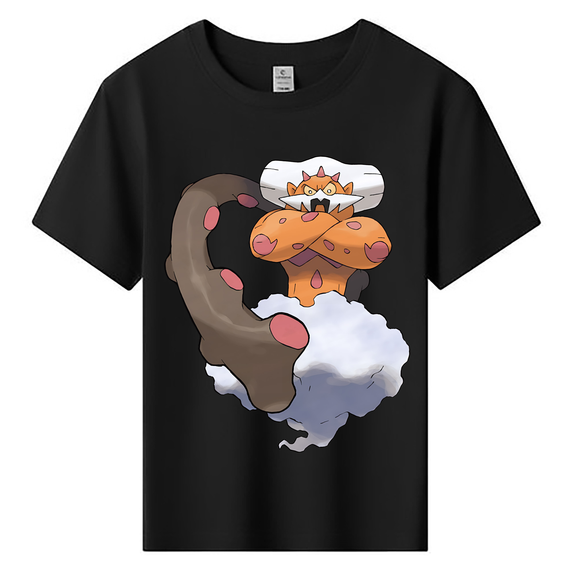 （画像用） ポケットモンスター Pokémon 綿100％キッズTシャツ（フロントプリント）