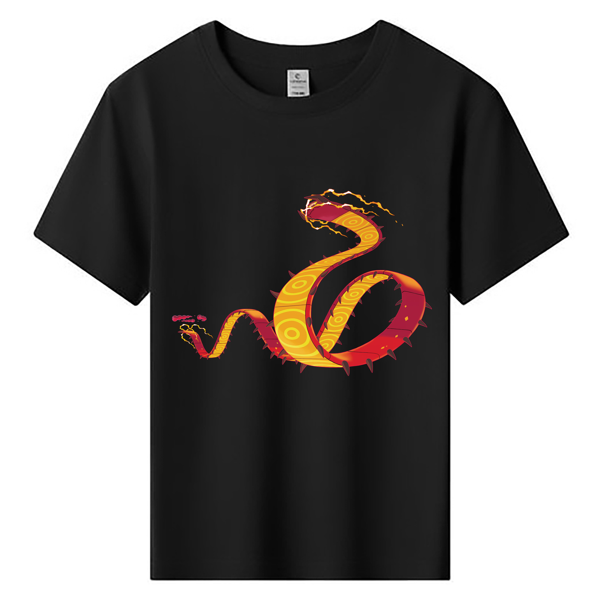 （画像用） ポケットモンスター Pokémon 綿100％キッズTシャツ（フロントプリント）