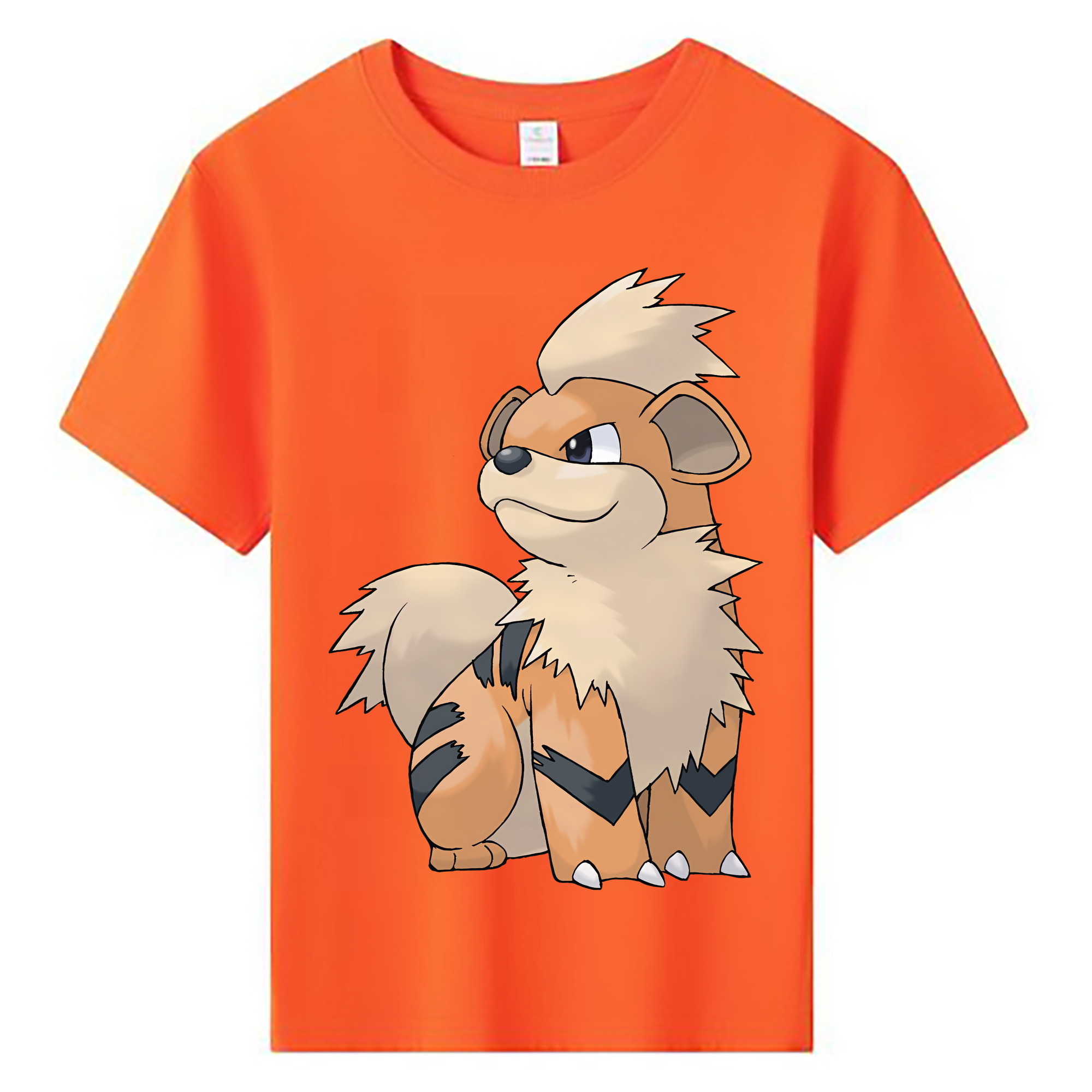 （画像用） ポケットモンスター Pokémon 綿100％キッズTシャツ（フロントプリント）