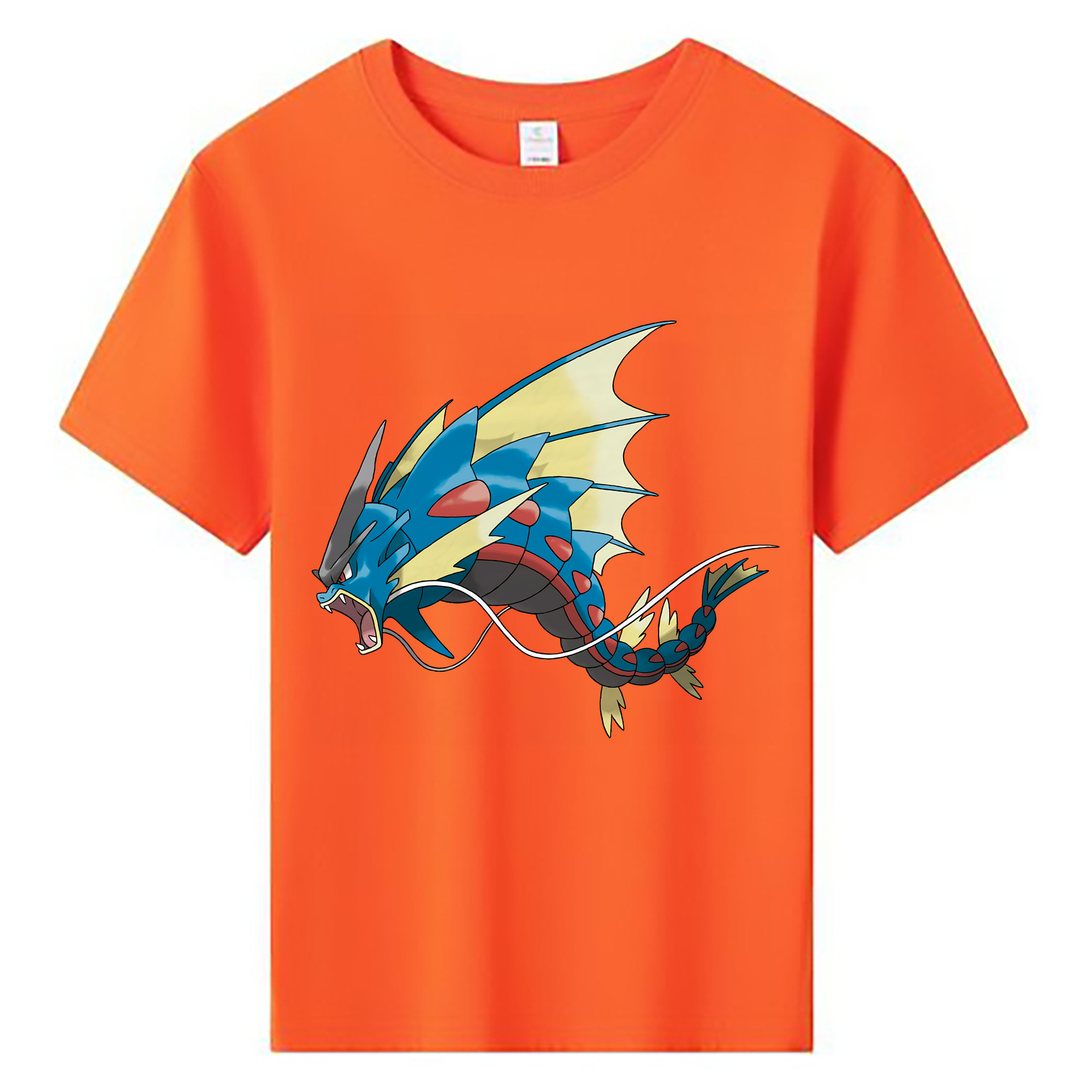 （画像用） ポケットモンスター Pokémon 綿100％キッズTシャツ（フロントプリント）