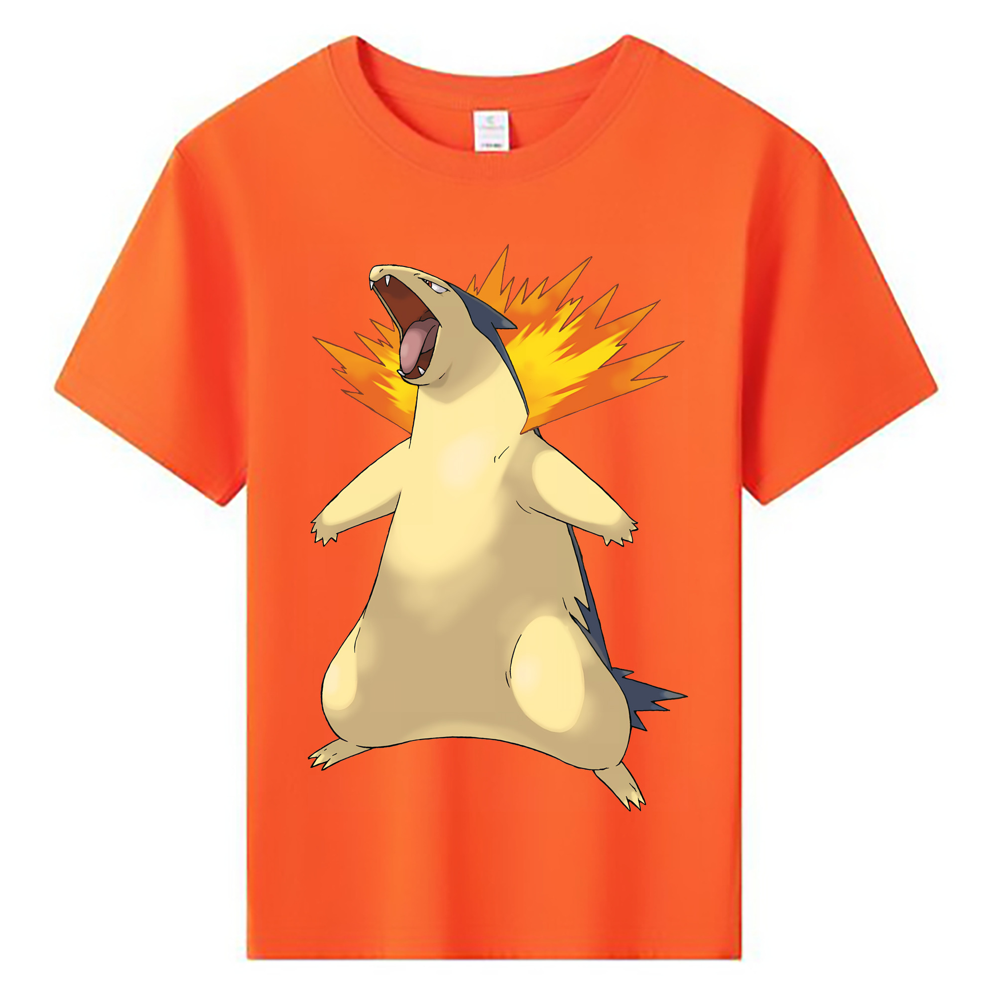 （画像用） ポケットモンスター Pokémon 綿100％キッズTシャツ（フロントプリント）