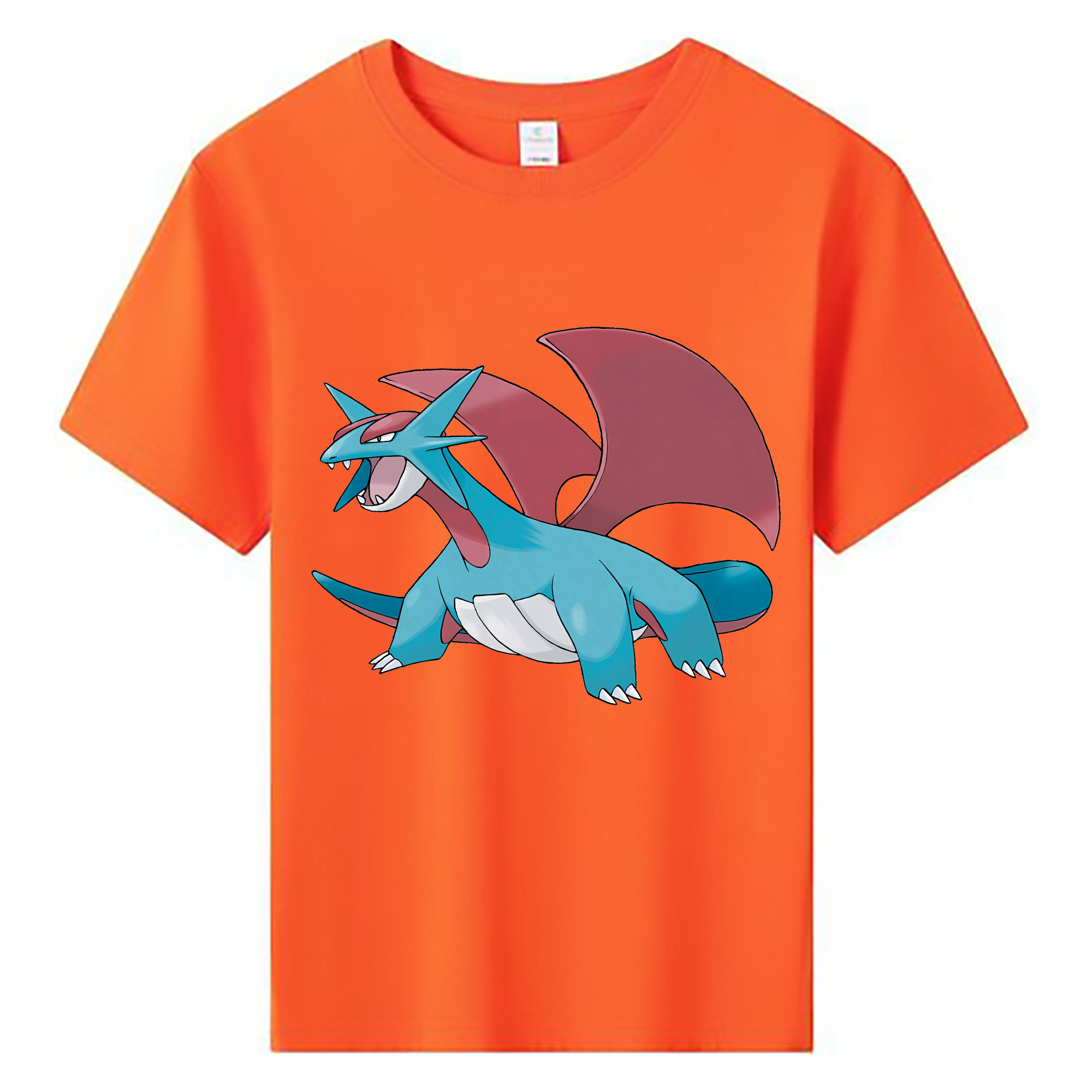 （画像用） ポケットモンスター Pokémon 綿100％キッズTシャツ（フロントプリント）