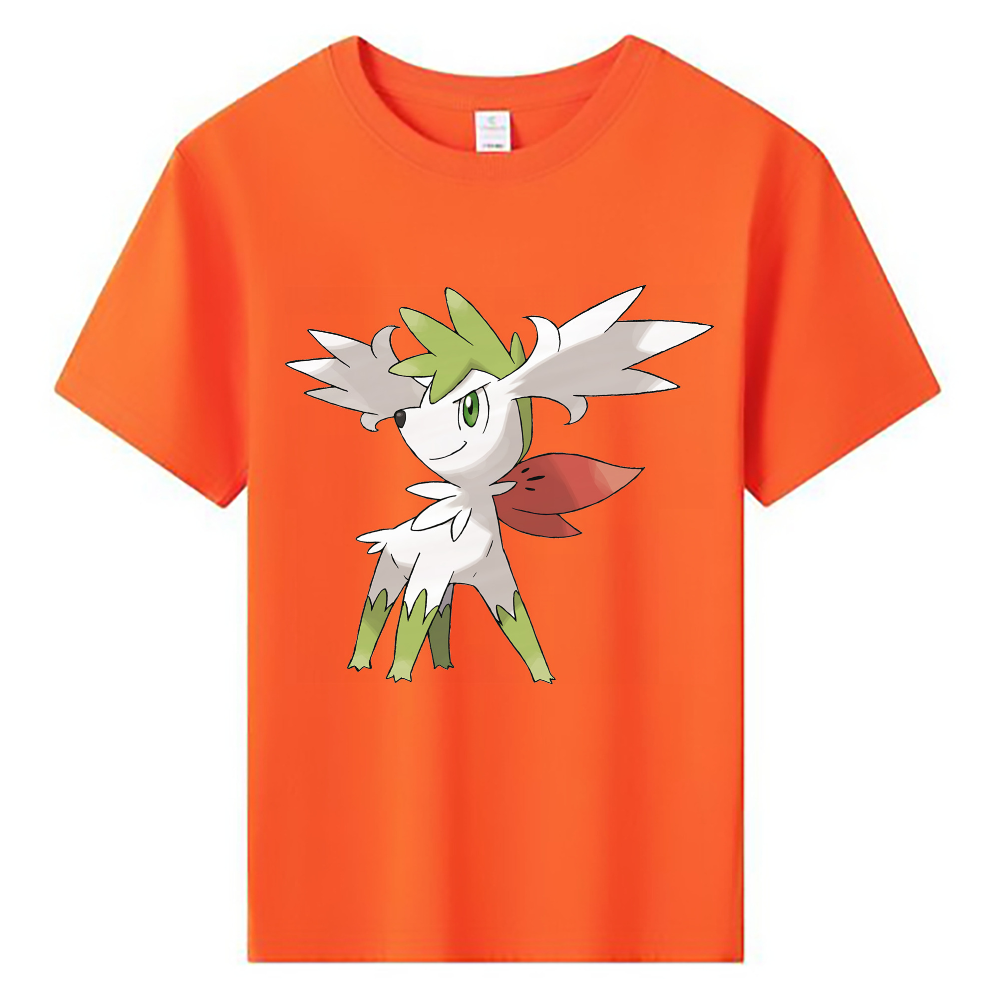 （画像用） ポケットモンスター Pokémon 綿100％キッズTシャツ（フロントプリント）