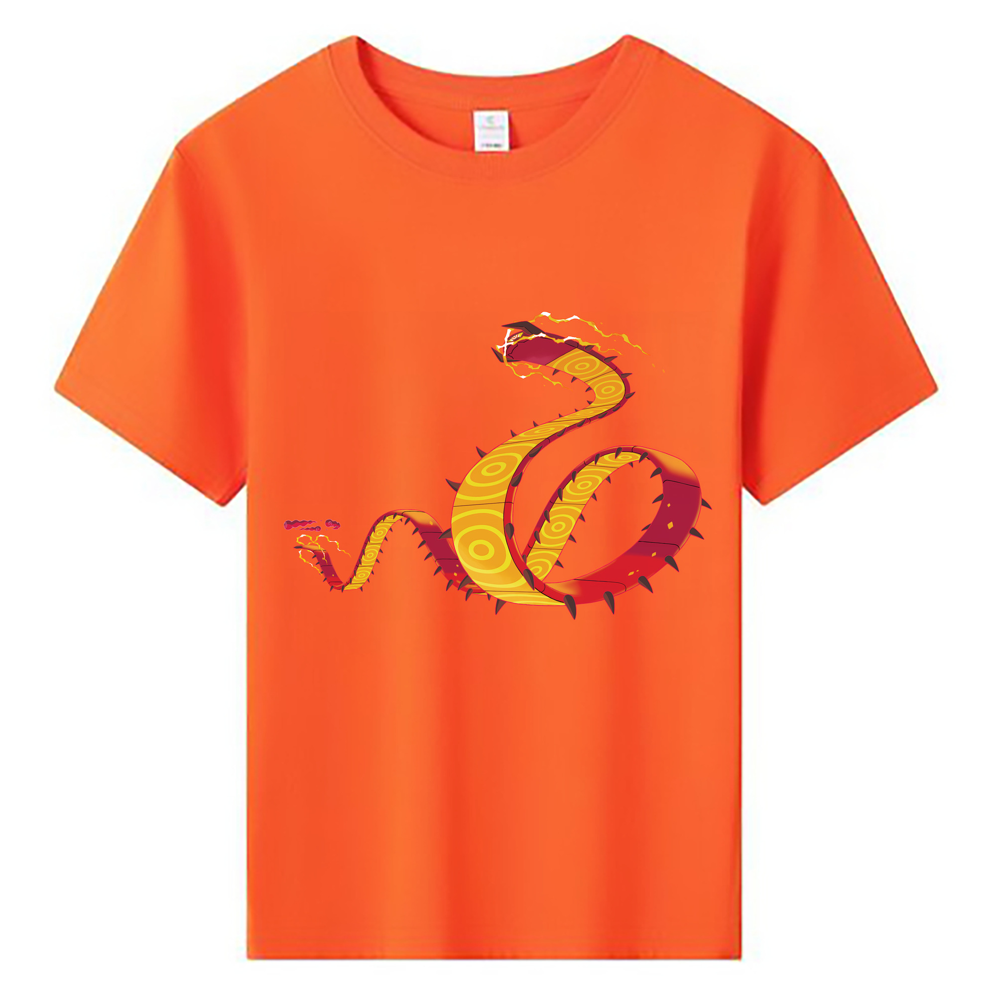（画像用） ポケットモンスター Pokémon 綿100％キッズTシャツ（フロントプリント）