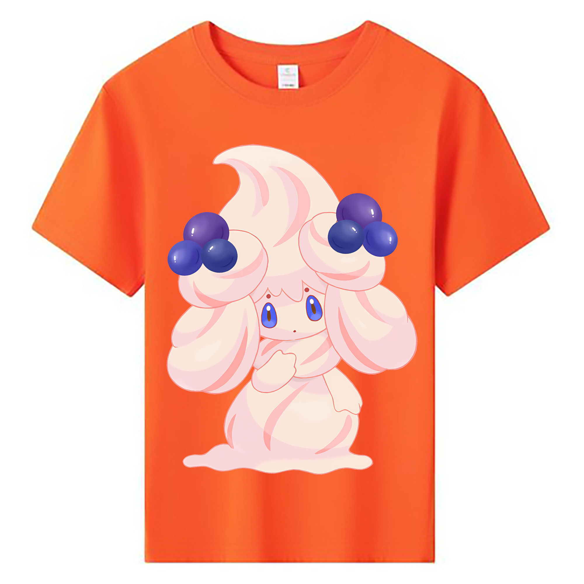 （画像用） ポケットモンスター Pokémon 綿100％キッズTシャツ（フロントプリント）