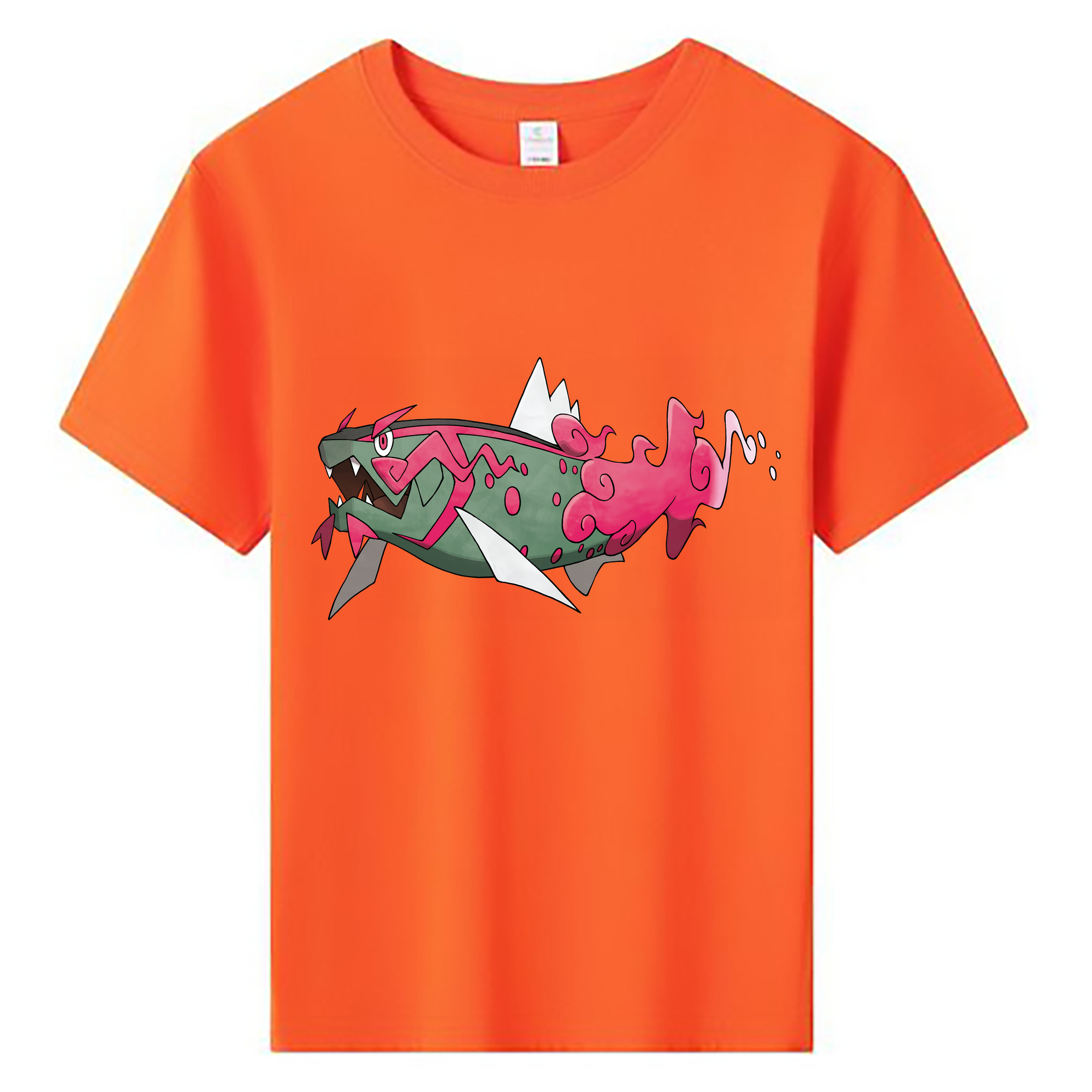 （画像用） ポケットモンスター Pokémon 綿100％キッズTシャツ（フロントプリント）