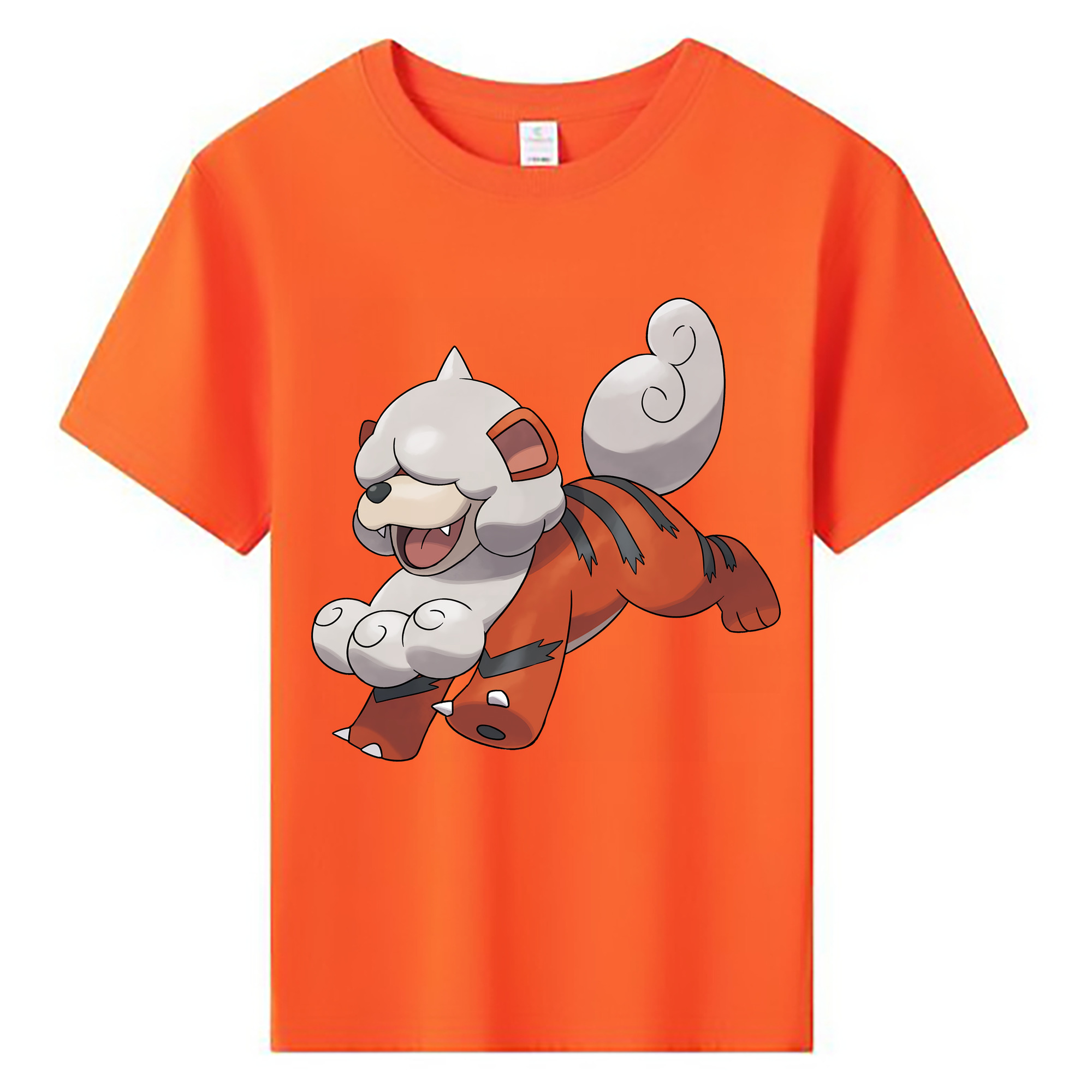 （画像用） ポケットモンスター Pokémon 綿100％キッズTシャツ（フロントプリント）