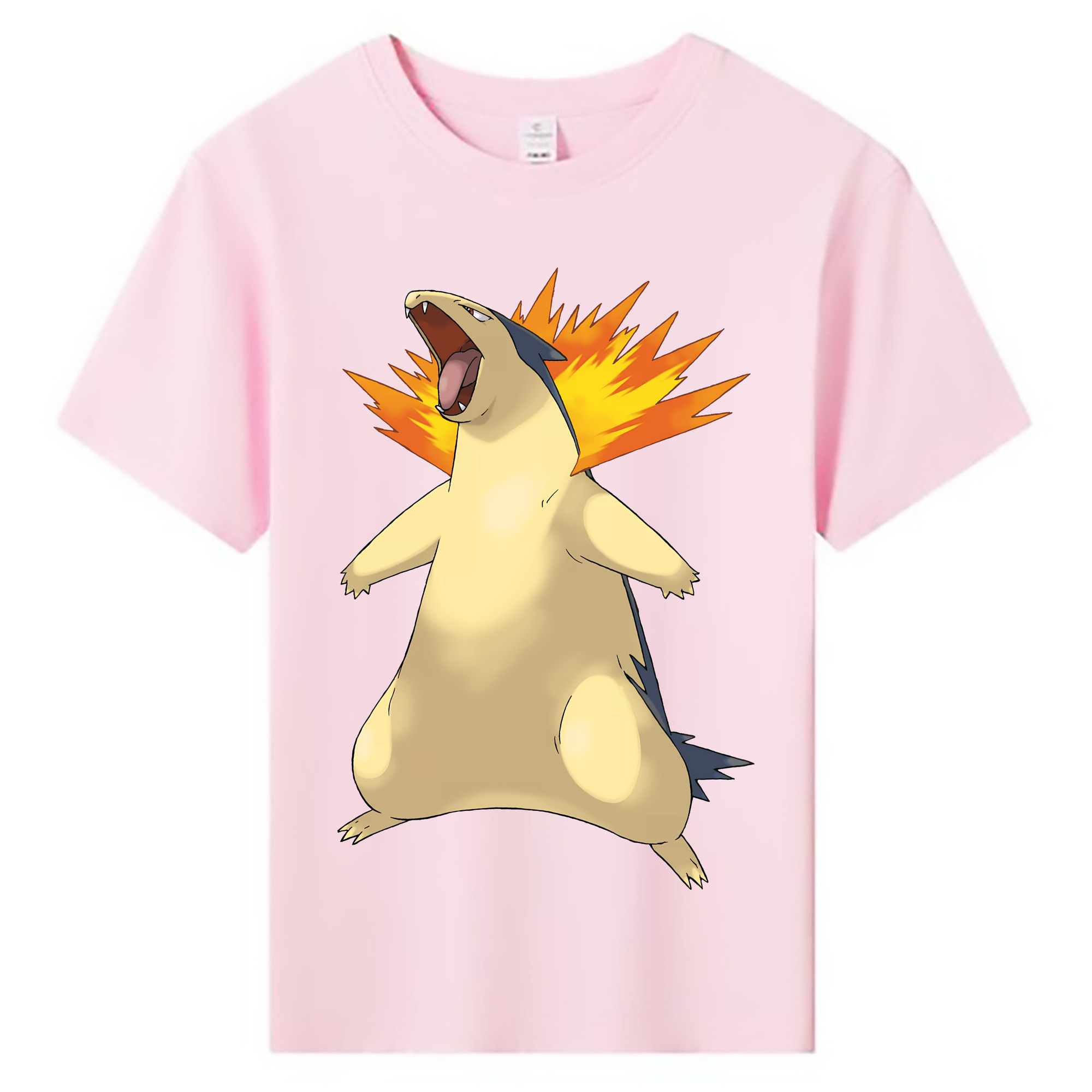 （画像用） ポケットモンスター Pokémon 綿100％キッズTシャツ（フロントプリント）