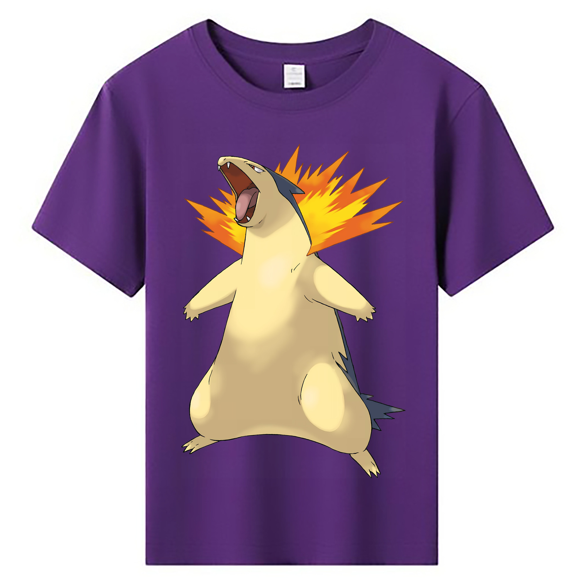 （画像用） ポケットモンスター Pokémon 綿100％キッズTシャツ（フロントプリント）