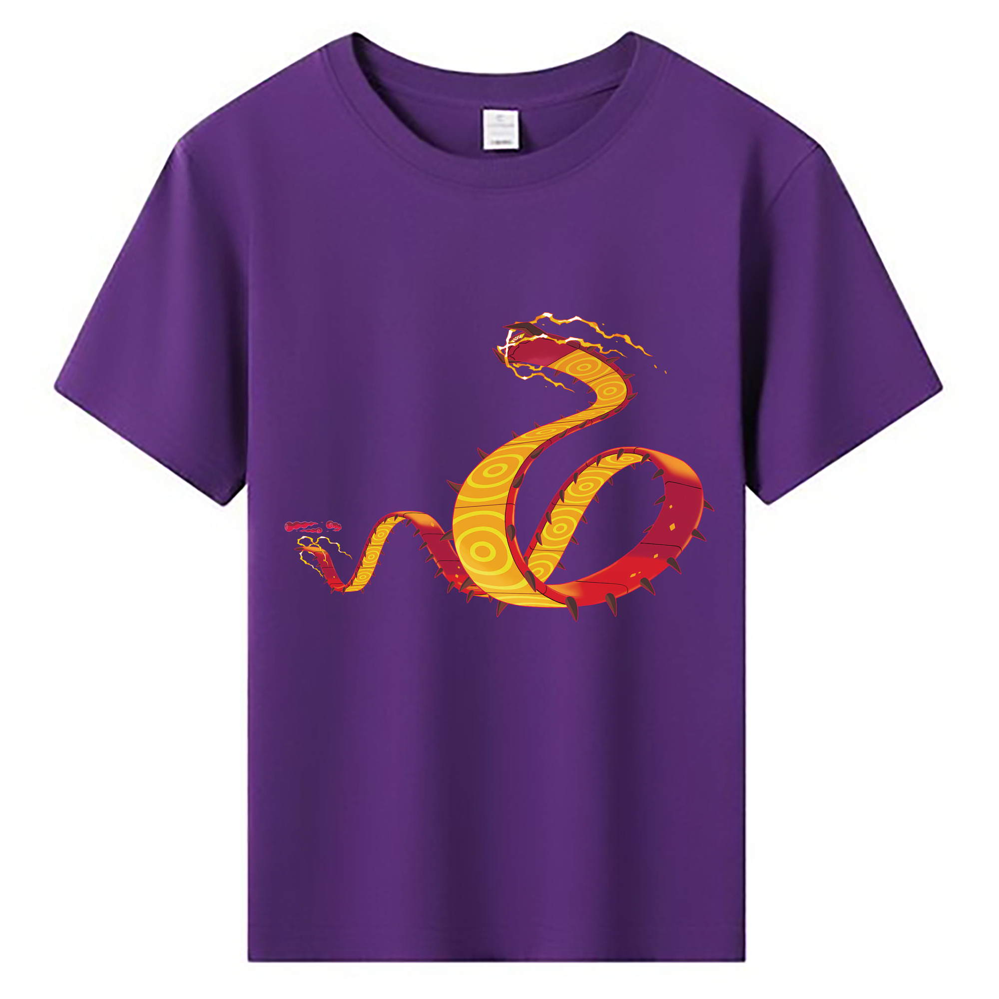 （画像用） ポケットモンスター Pokémon 綿100％キッズTシャツ（フロントプリント）