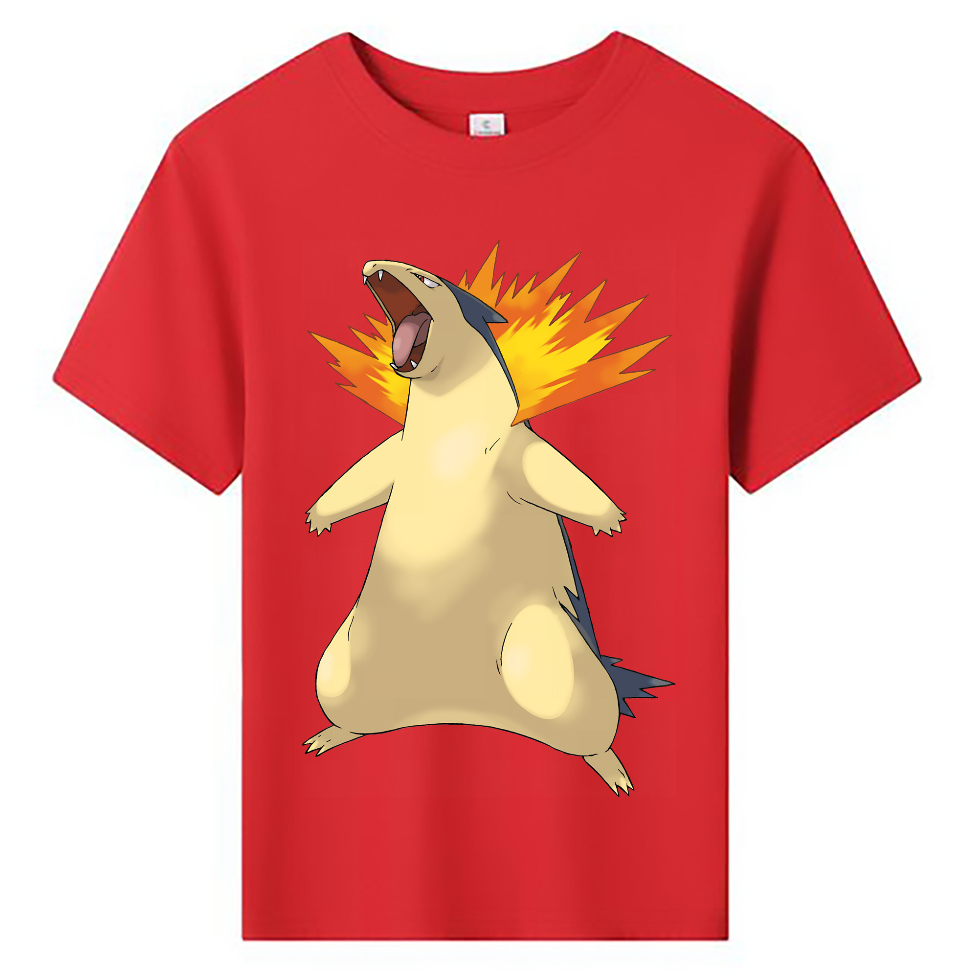 （画像用） ポケットモンスター Pokémon 綿100％キッズTシャツ（フロントプリント）