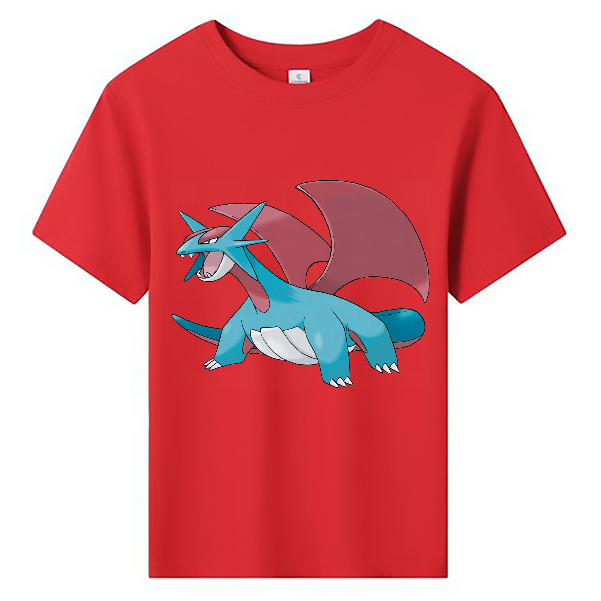 （画像用） ポケットモンスター Pokémon 綿100％キッズTシャツ（フロントプリント）