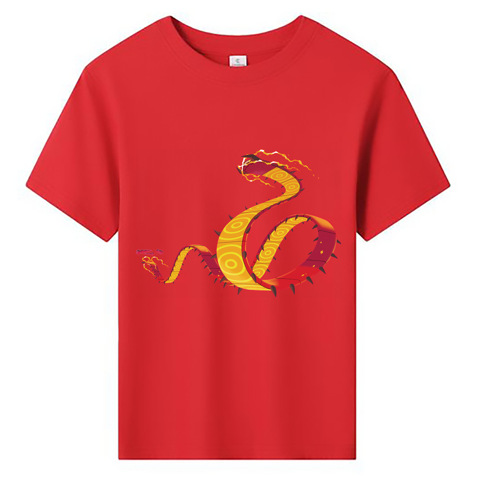 （画像用） ポケットモンスター Pokémon 綿100％キッズTシャツ（フロントプリント）
