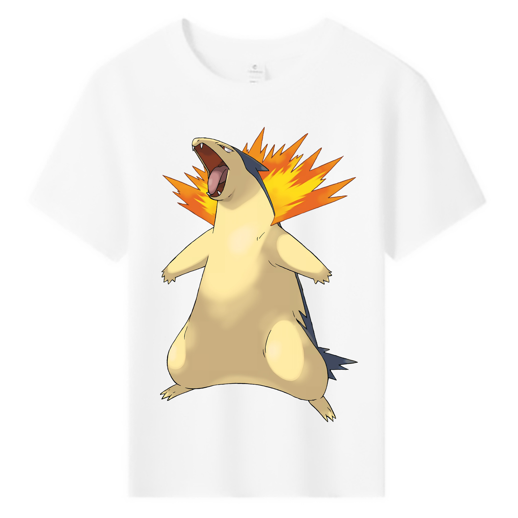 （画像用） ポケットモンスター Pokémon 綿100％キッズTシャツ（フロントプリント）