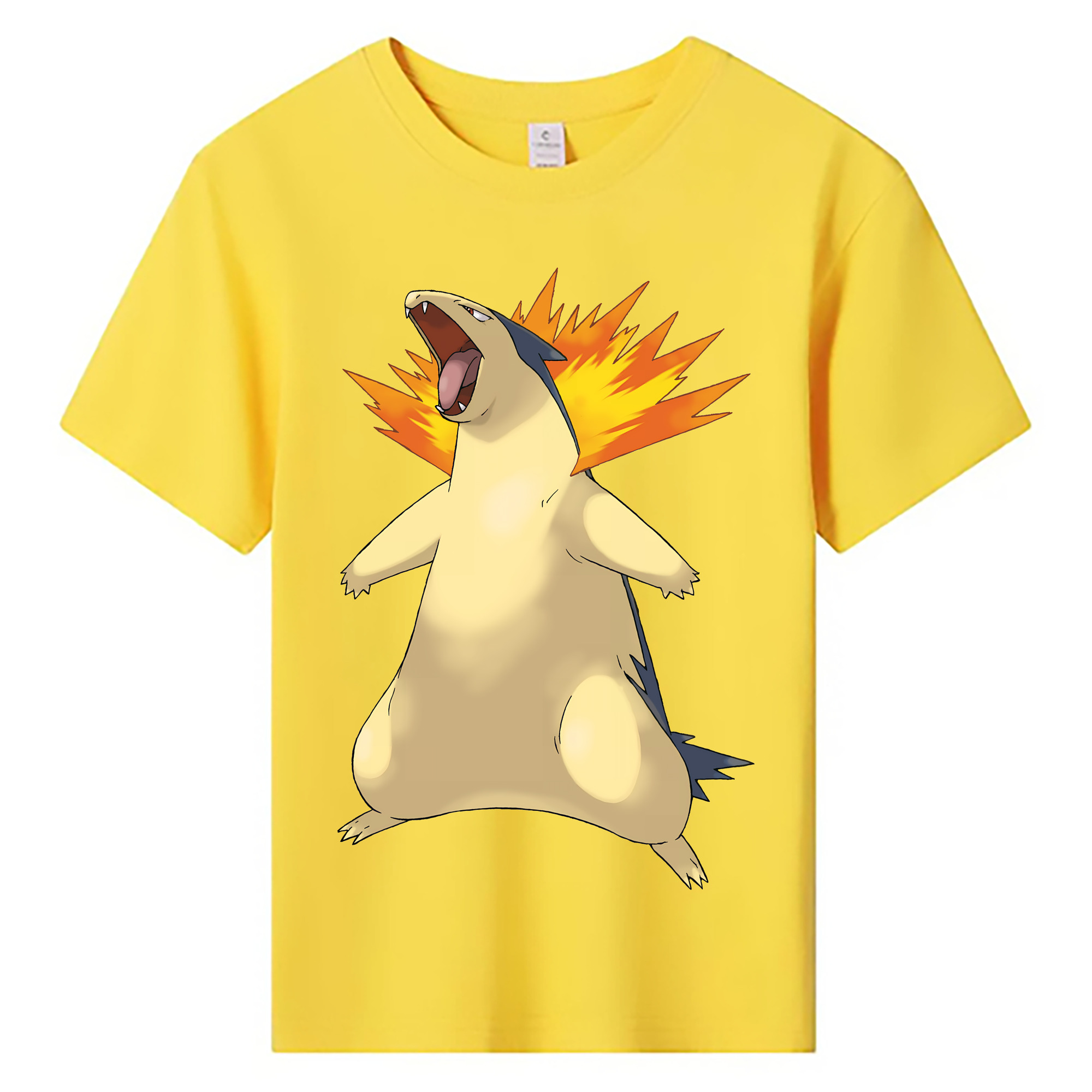 （画像用） ポケットモンスター Pokémon 綿100％キッズTシャツ（フロントプリント）