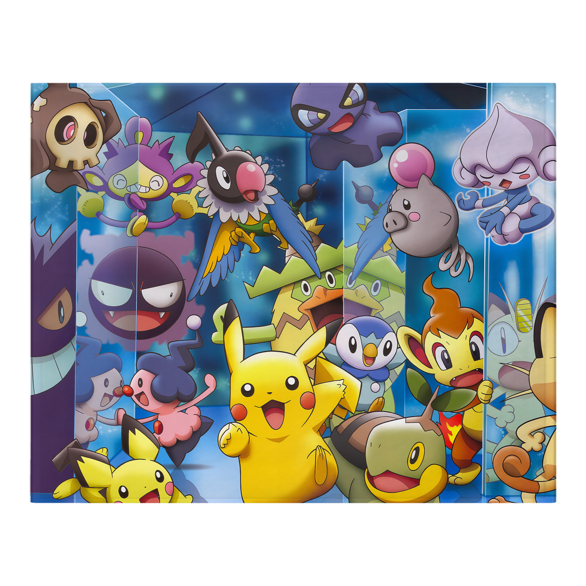 （画像用） ポケットモンスター Pokémon フランネルブランケット・多サイズ対応（横型）