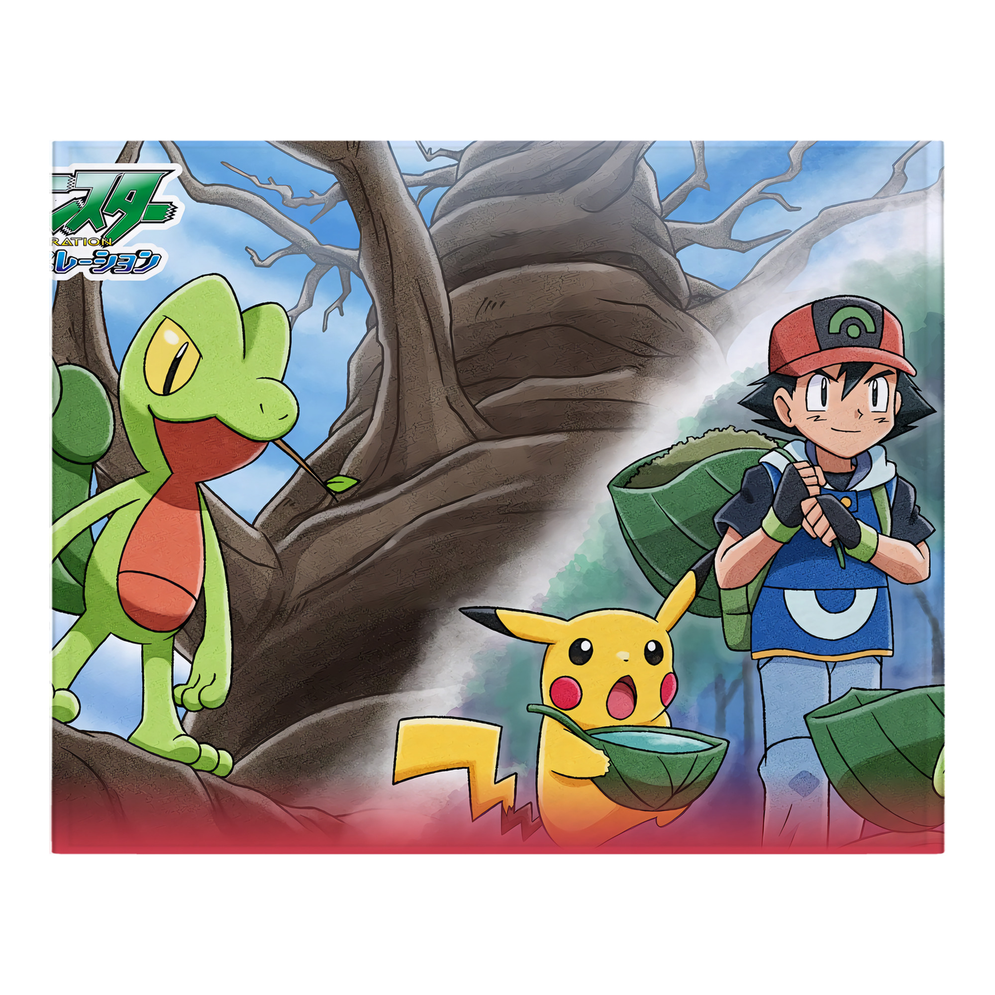 （画像用） ポケットモンスター Pokémon フランネルブランケット・多サイズ対応（横型）