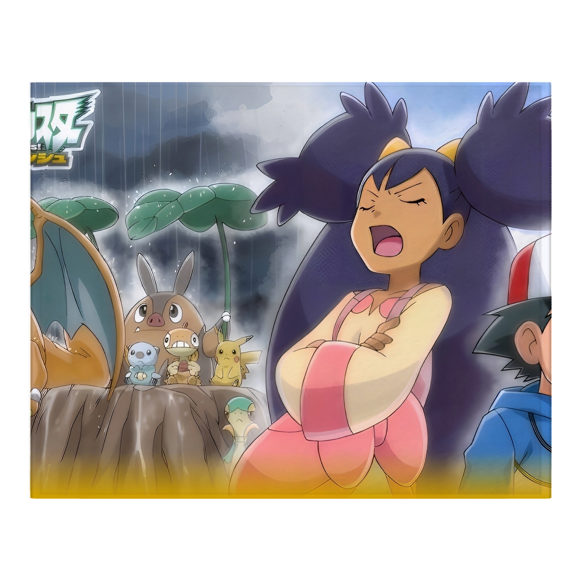 （画像用） ポケットモンスター Pokémon フランネルブランケット・多サイズ対応（横型）