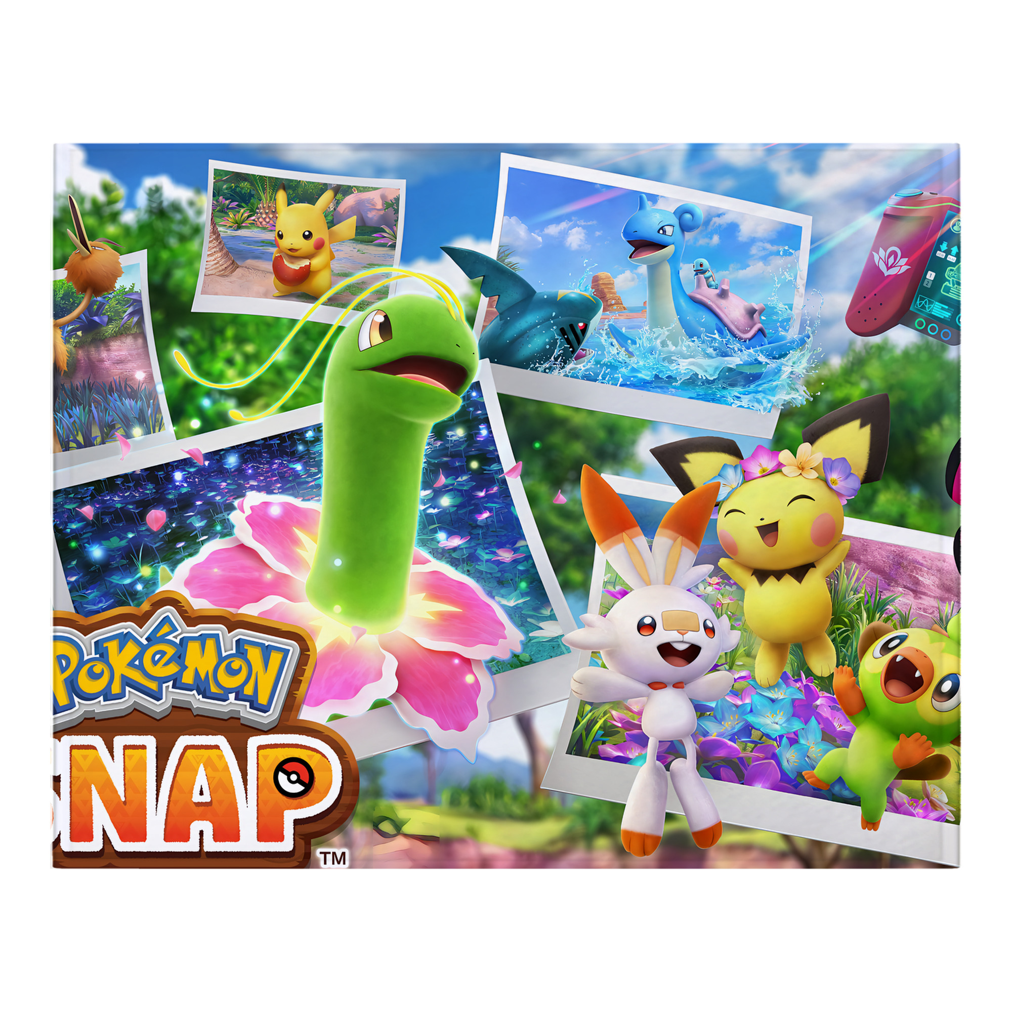 （画像用） ポケットモンスター Pokémon フランネルブランケット・多サイズ対応（横型）